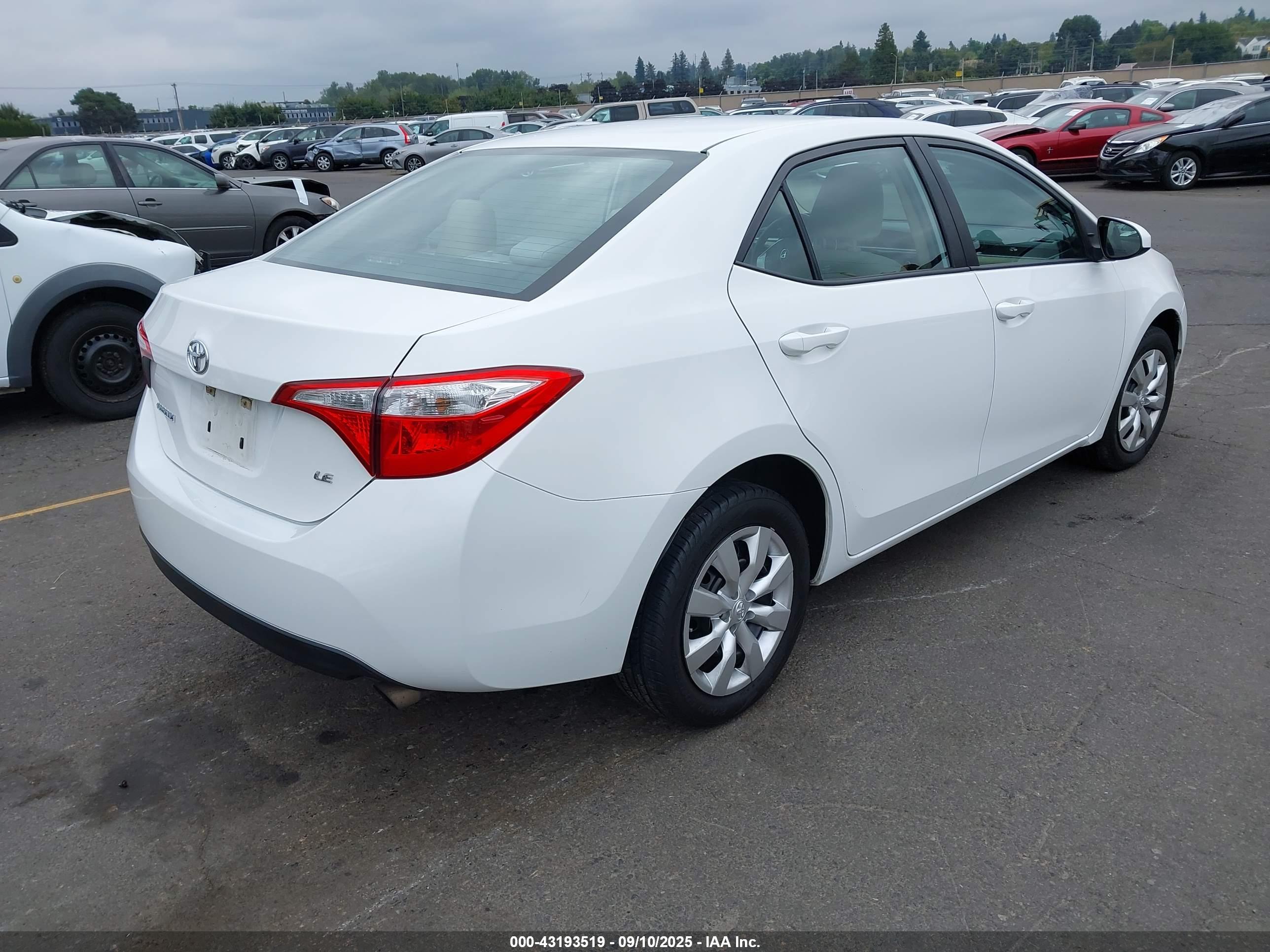 TOYOTA COROLLA image 4