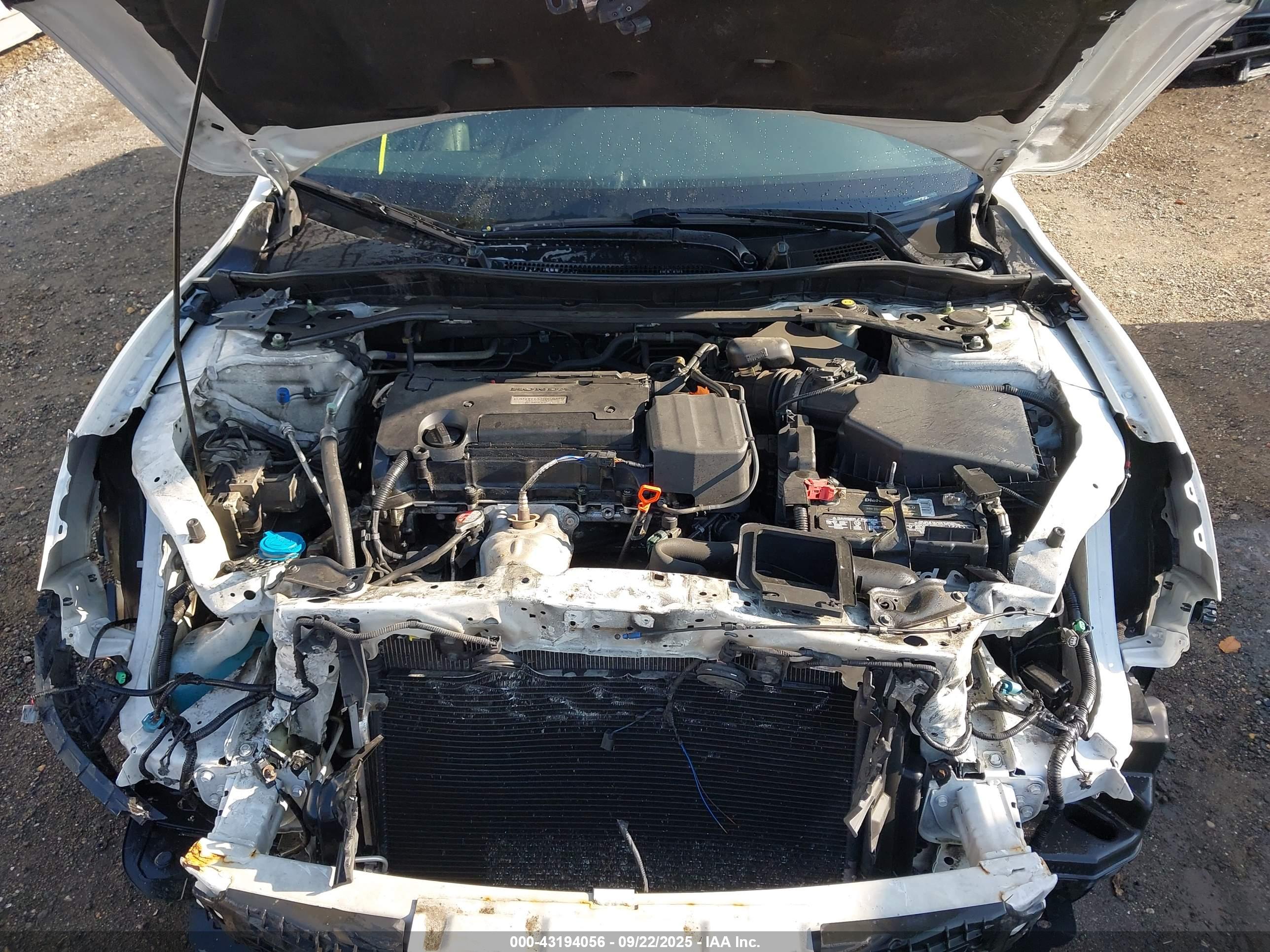 HONDA ACCORD image 10