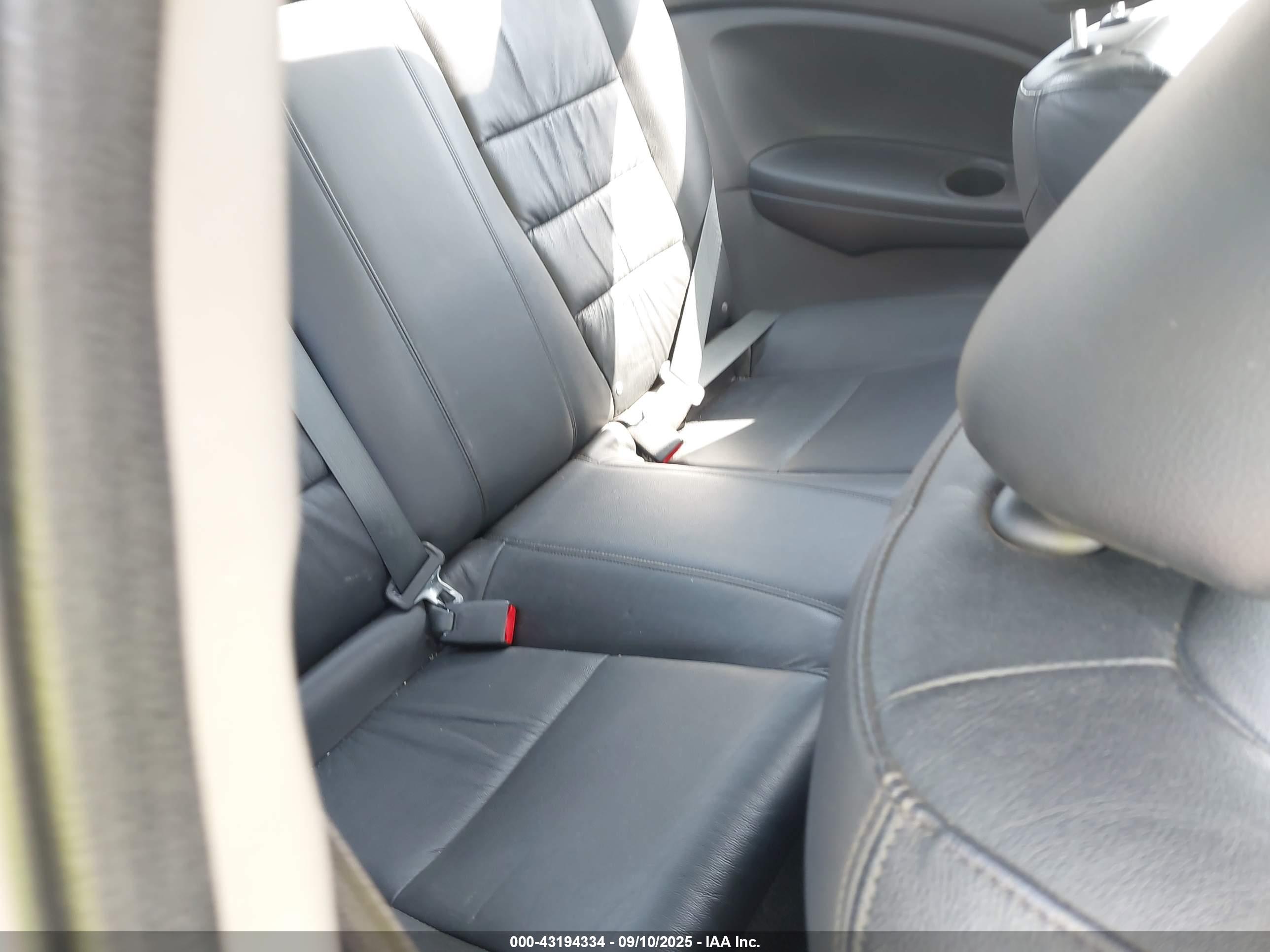 HONDA ACCORD image 8