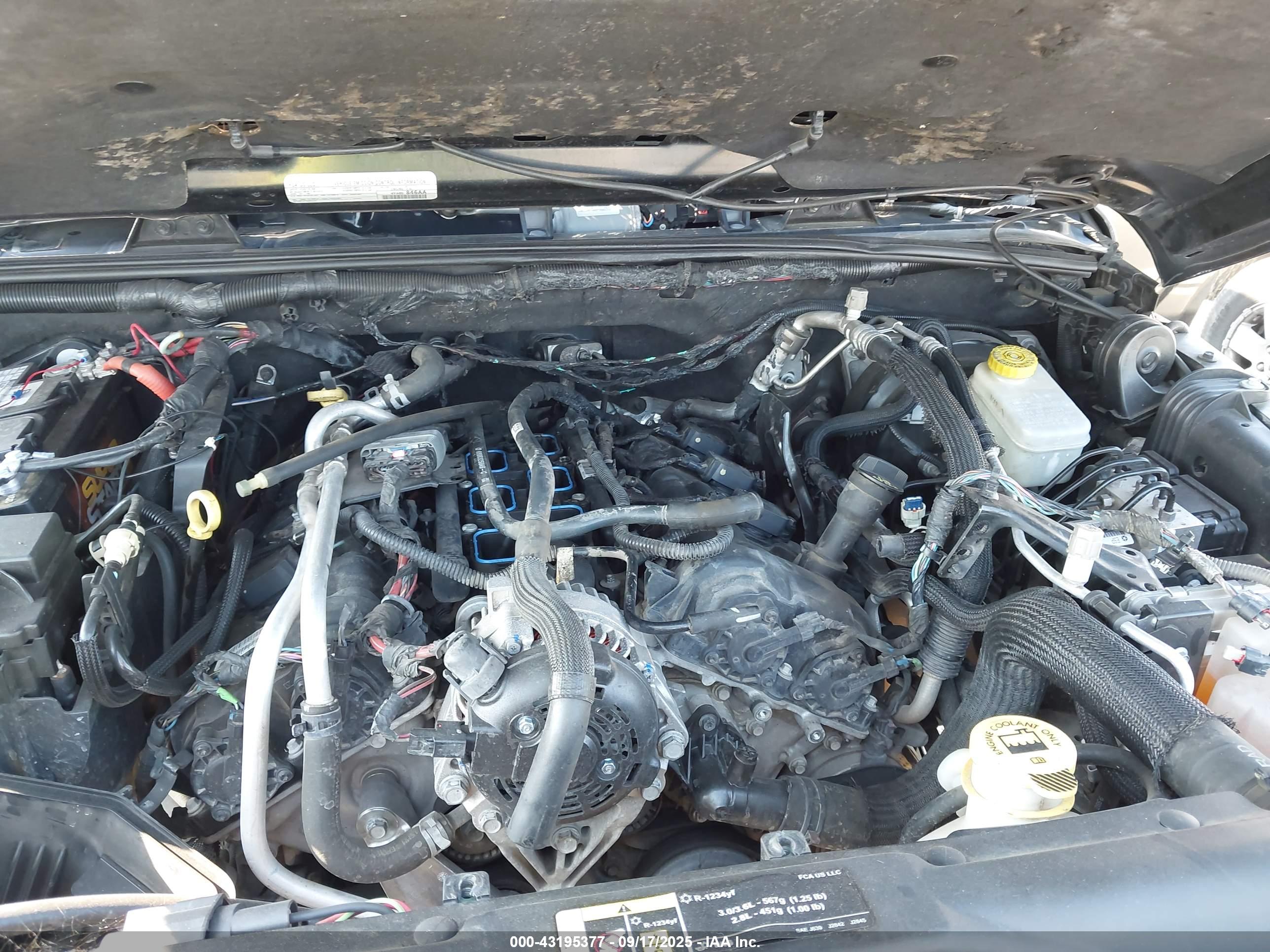 JEEP WRANGLER image 10