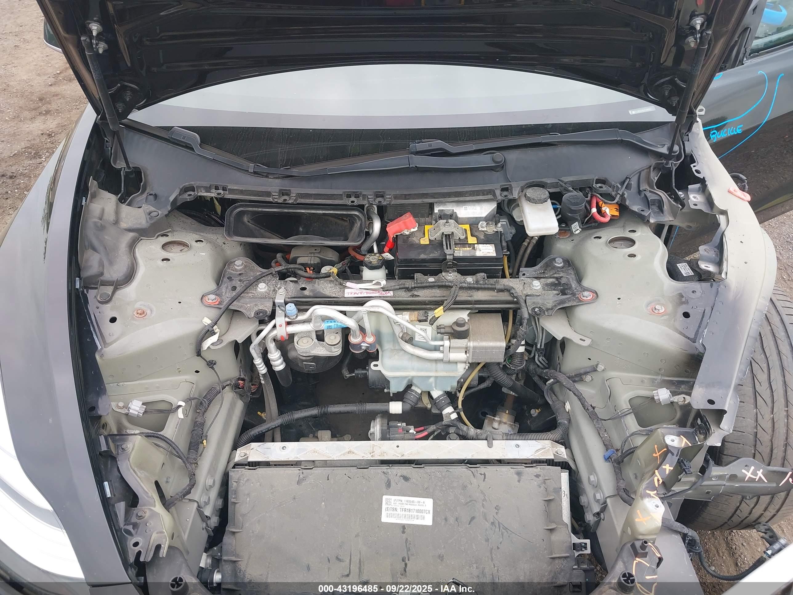 TESLA MODEL image 10