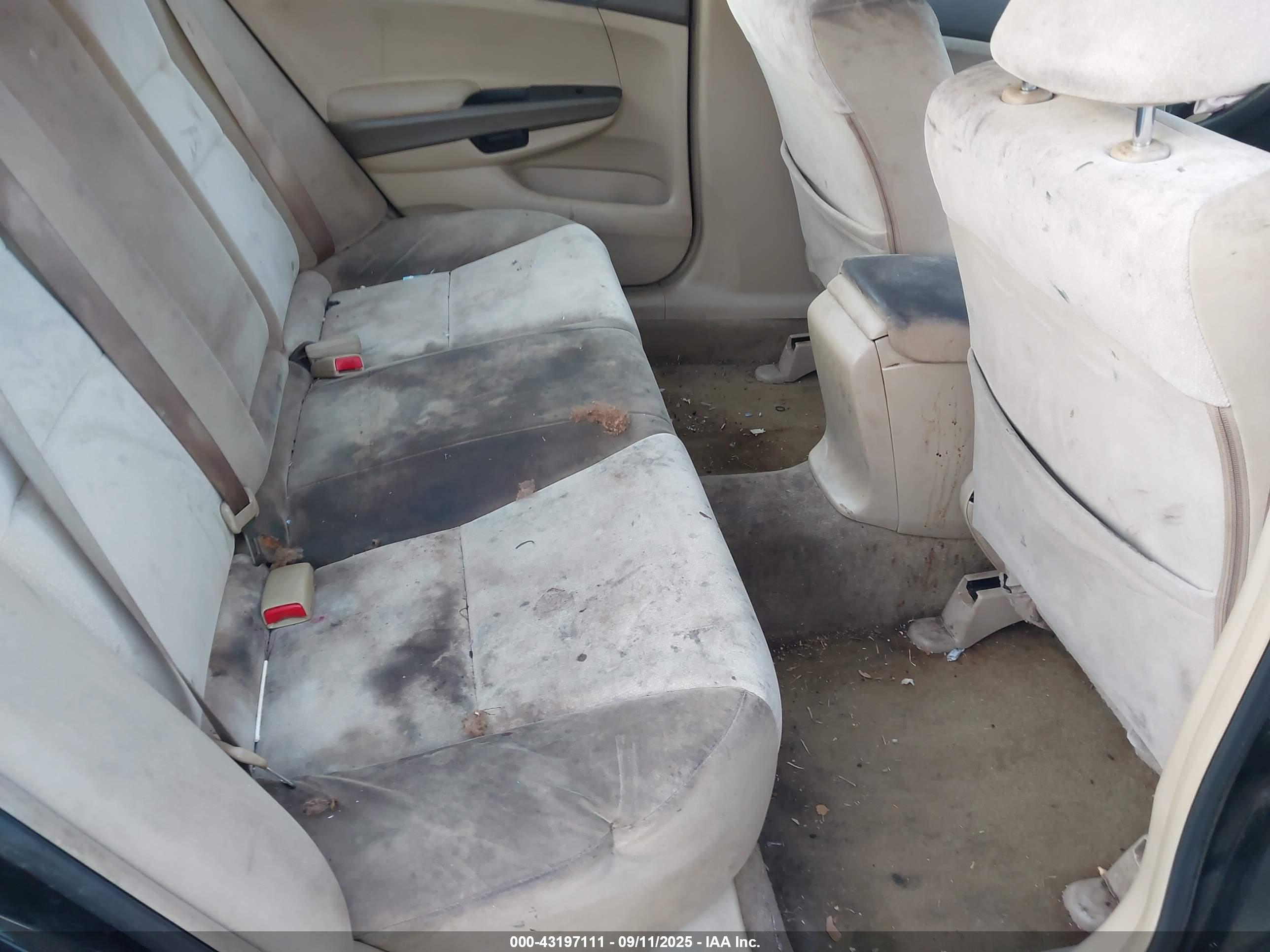 HONDA ACCORD image 8