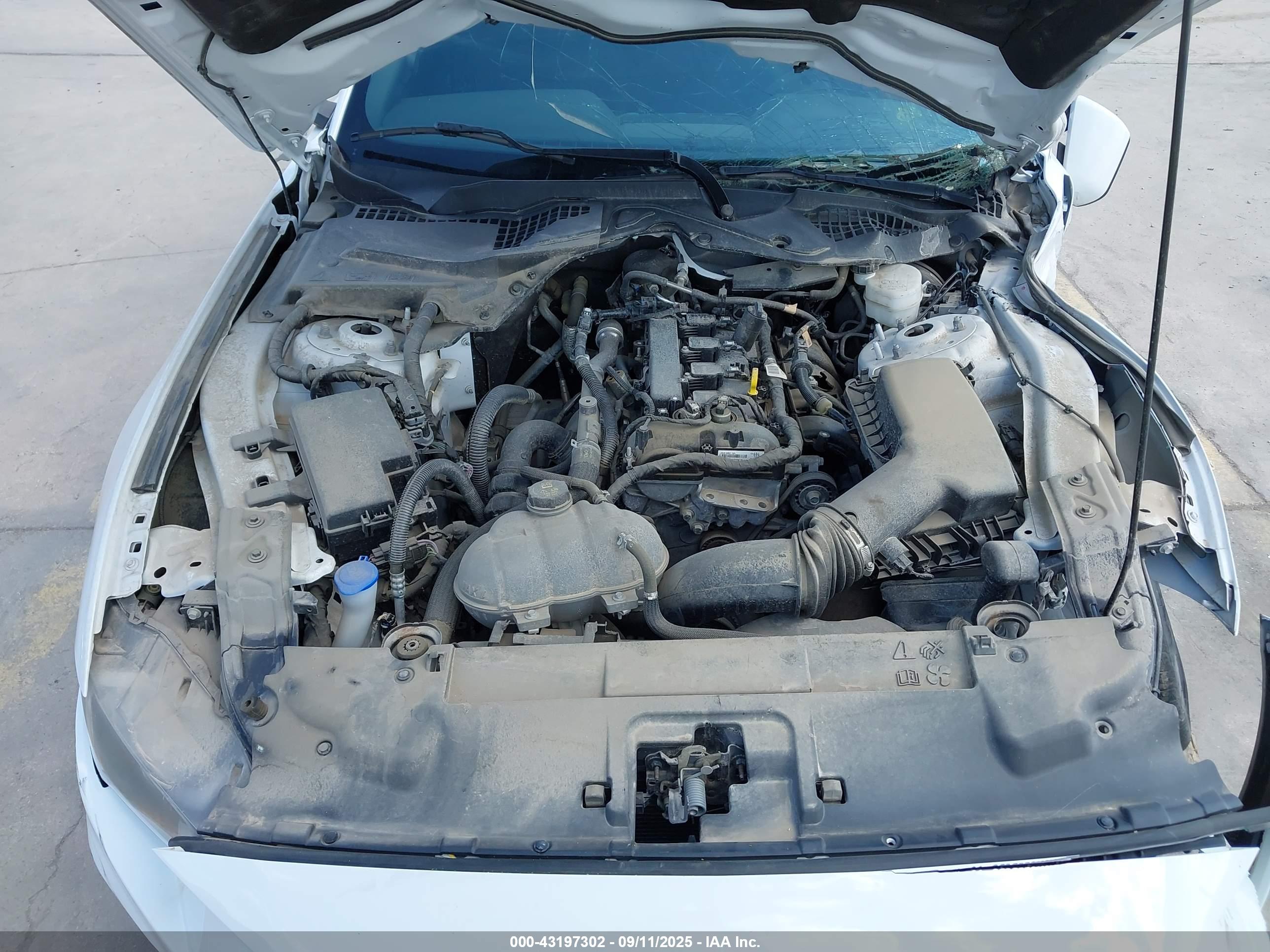 FORD MUSTANG image 10