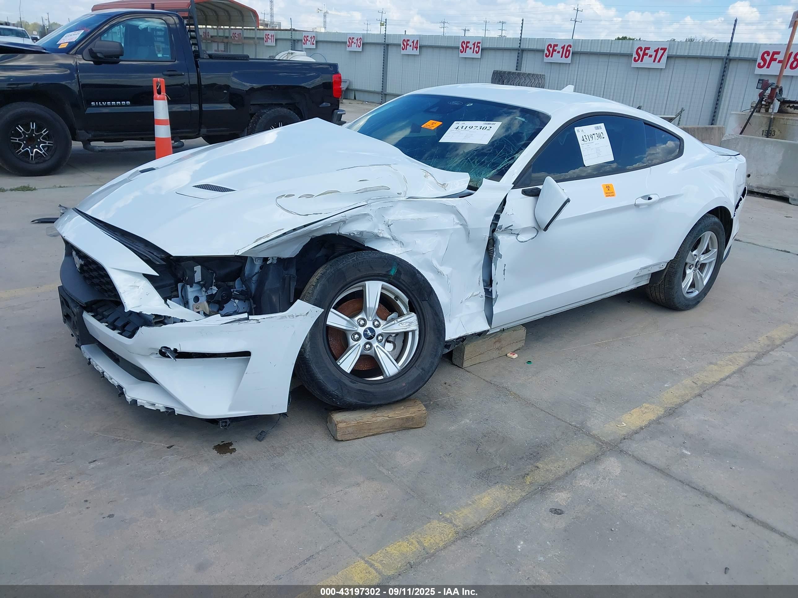 FORD MUSTANG image 2