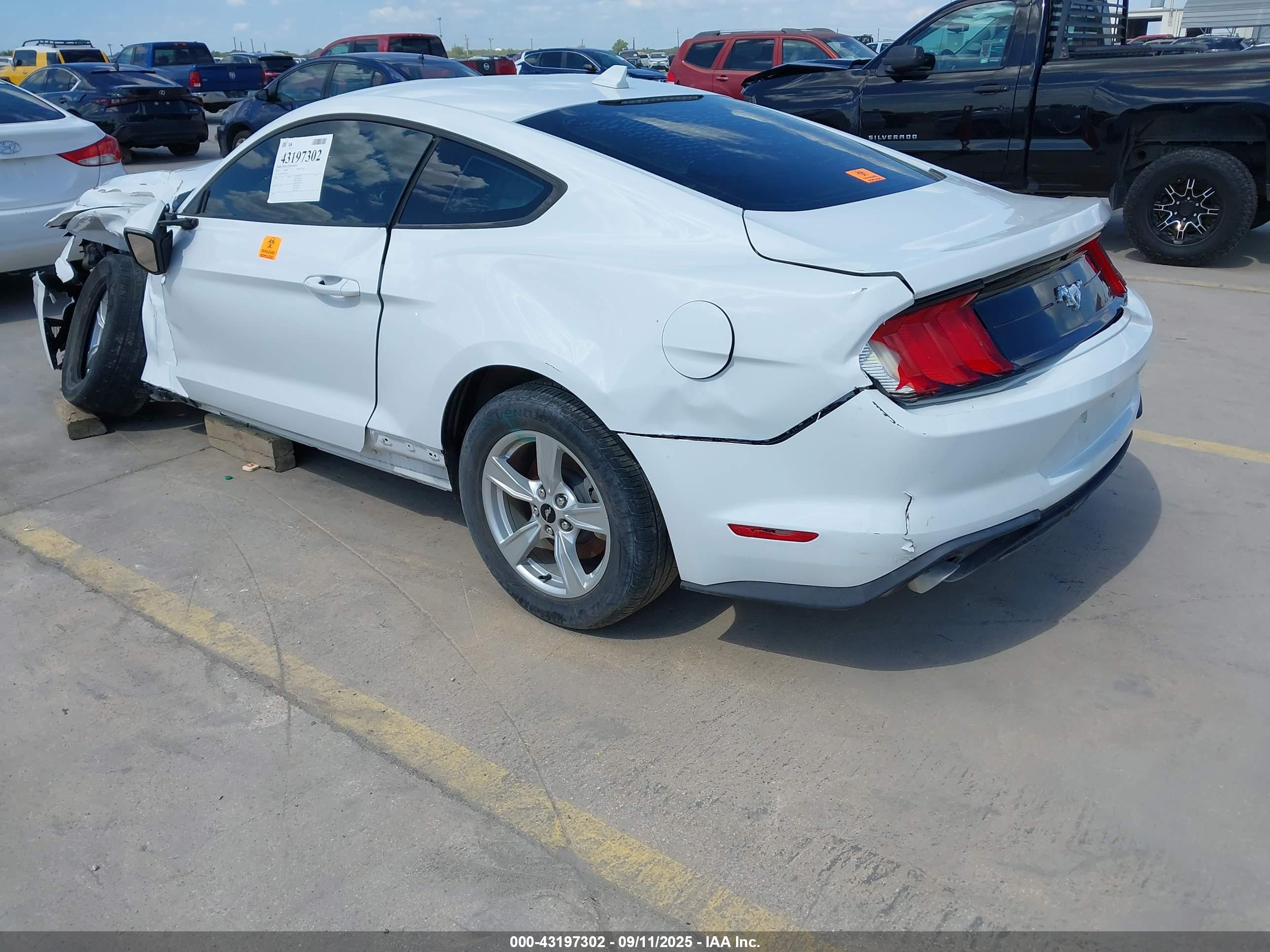 FORD MUSTANG image 3