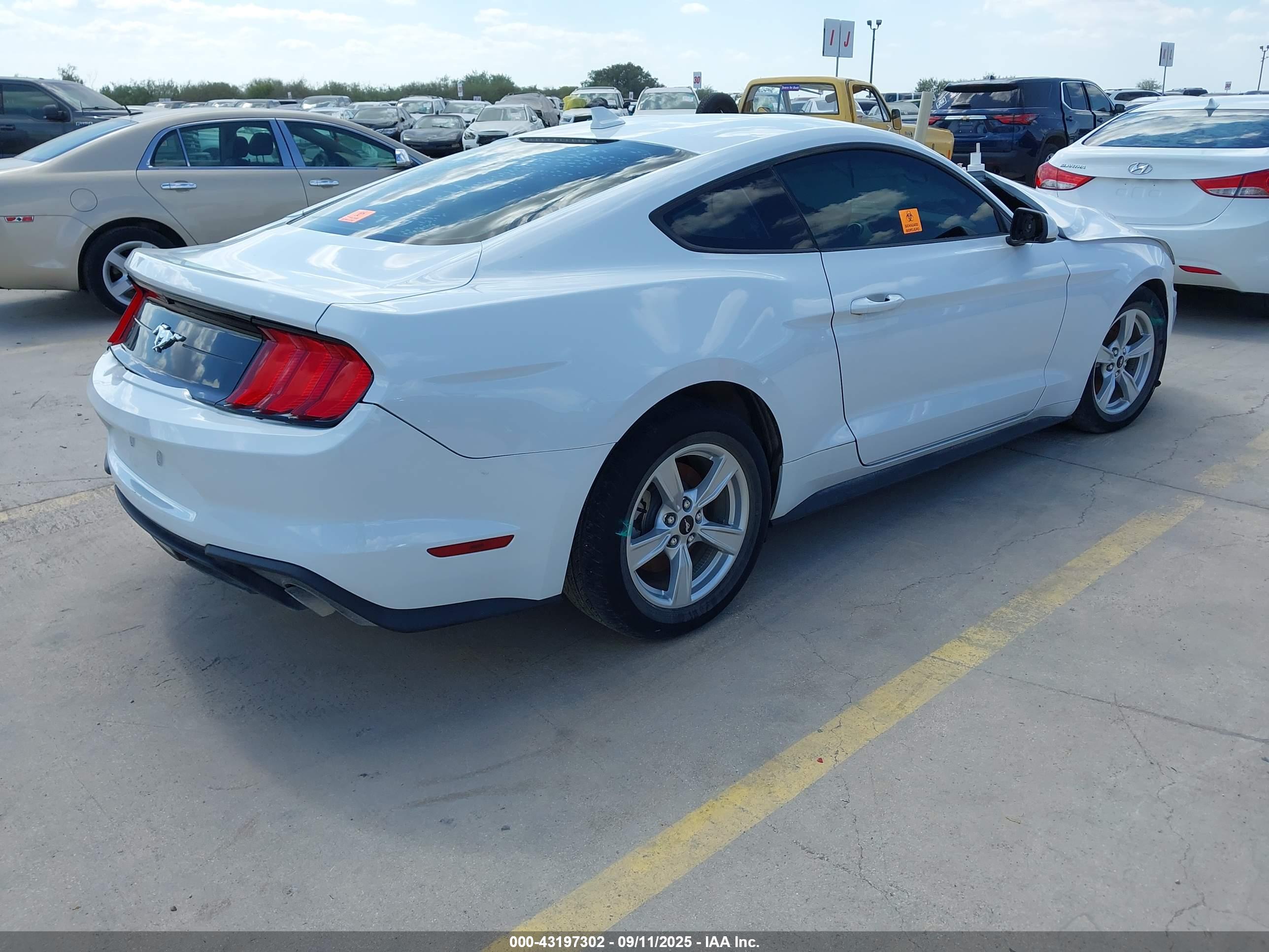FORD MUSTANG image 4