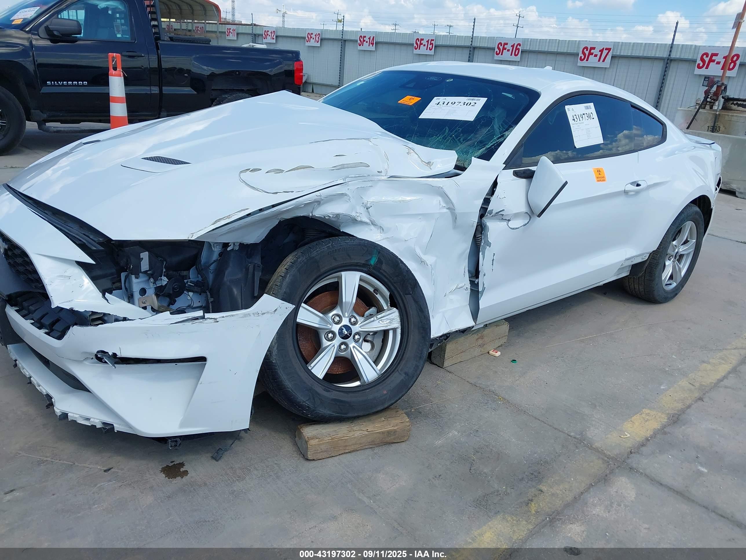FORD MUSTANG image 6
