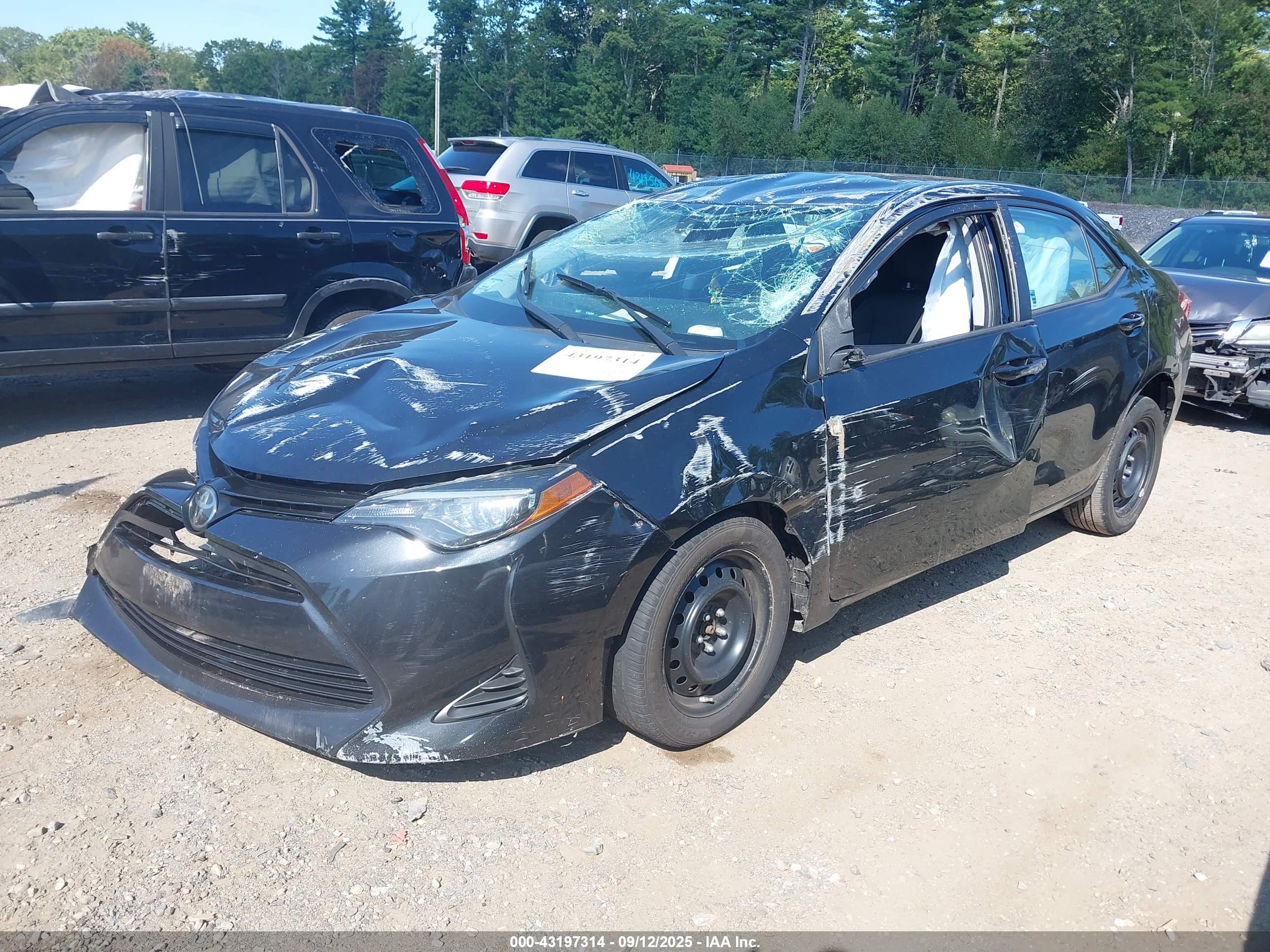 TOYOTA COROLLA image 2