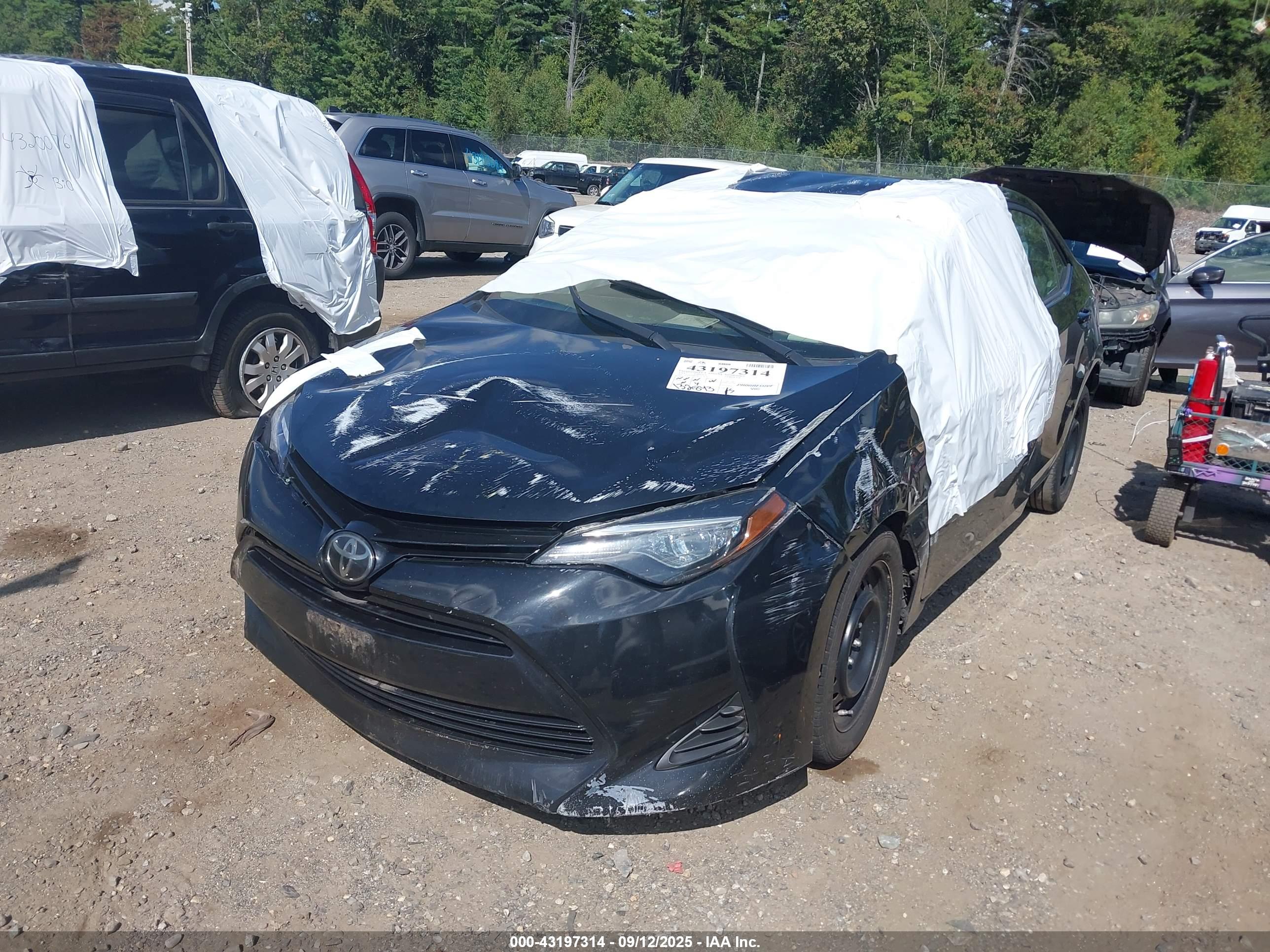 TOYOTA COROLLA image 6