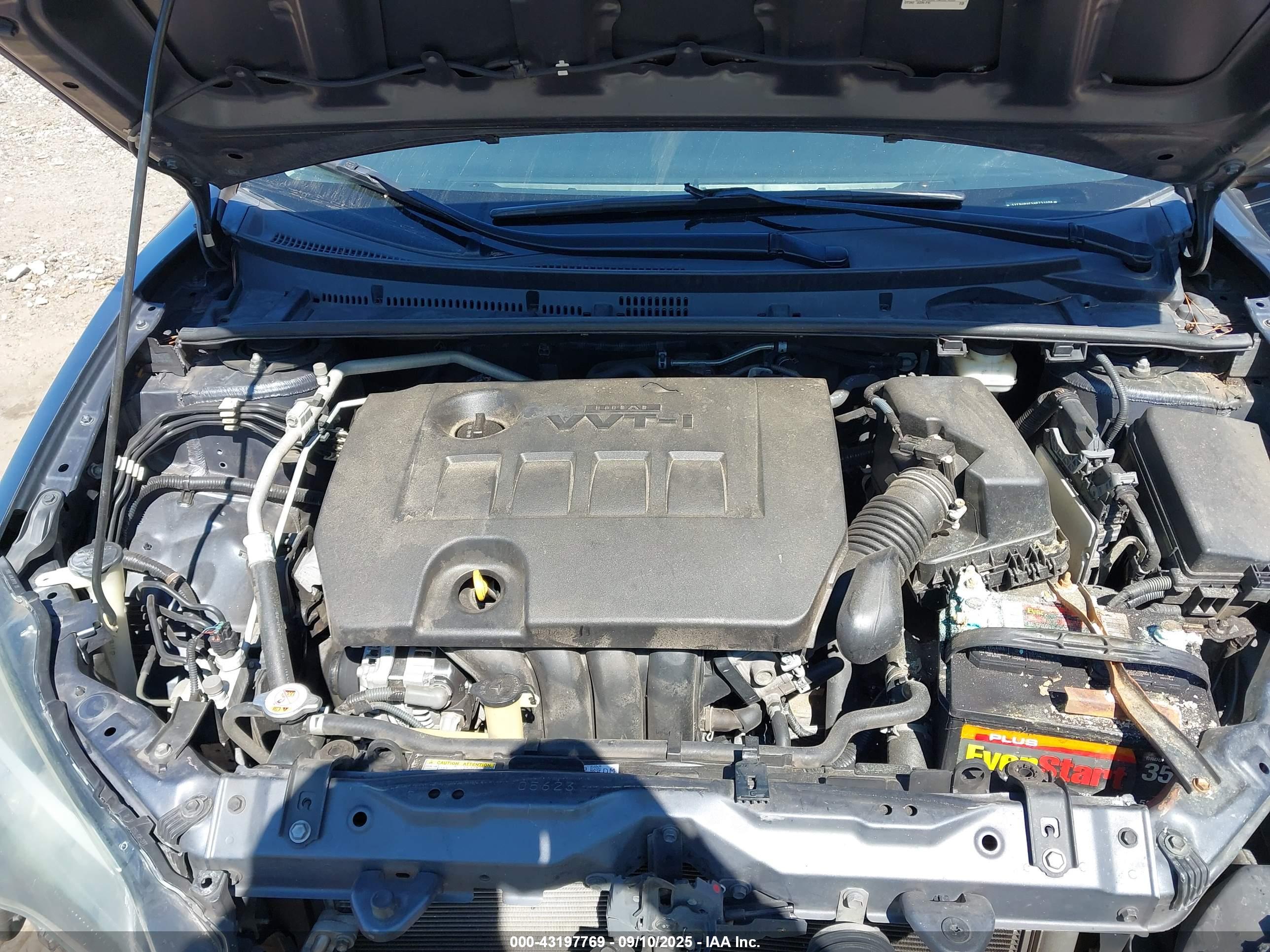 TOYOTA COROLLA image 10