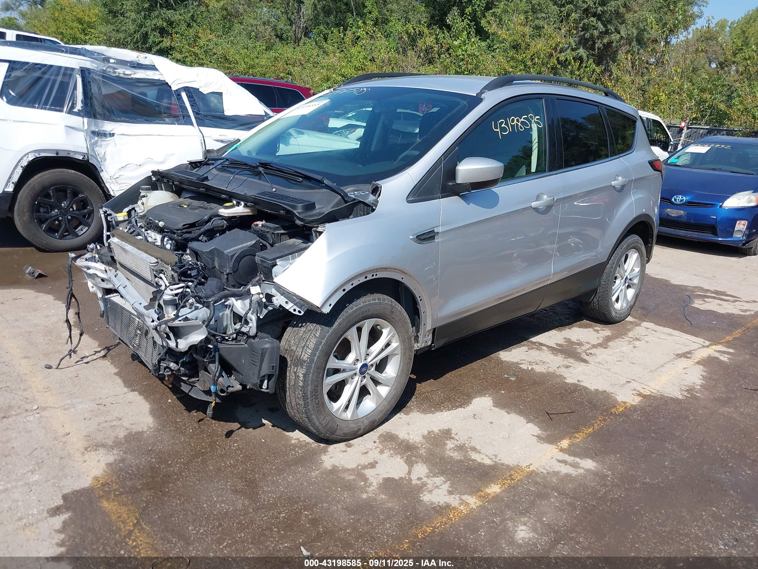 FORD ESCAPE image 2