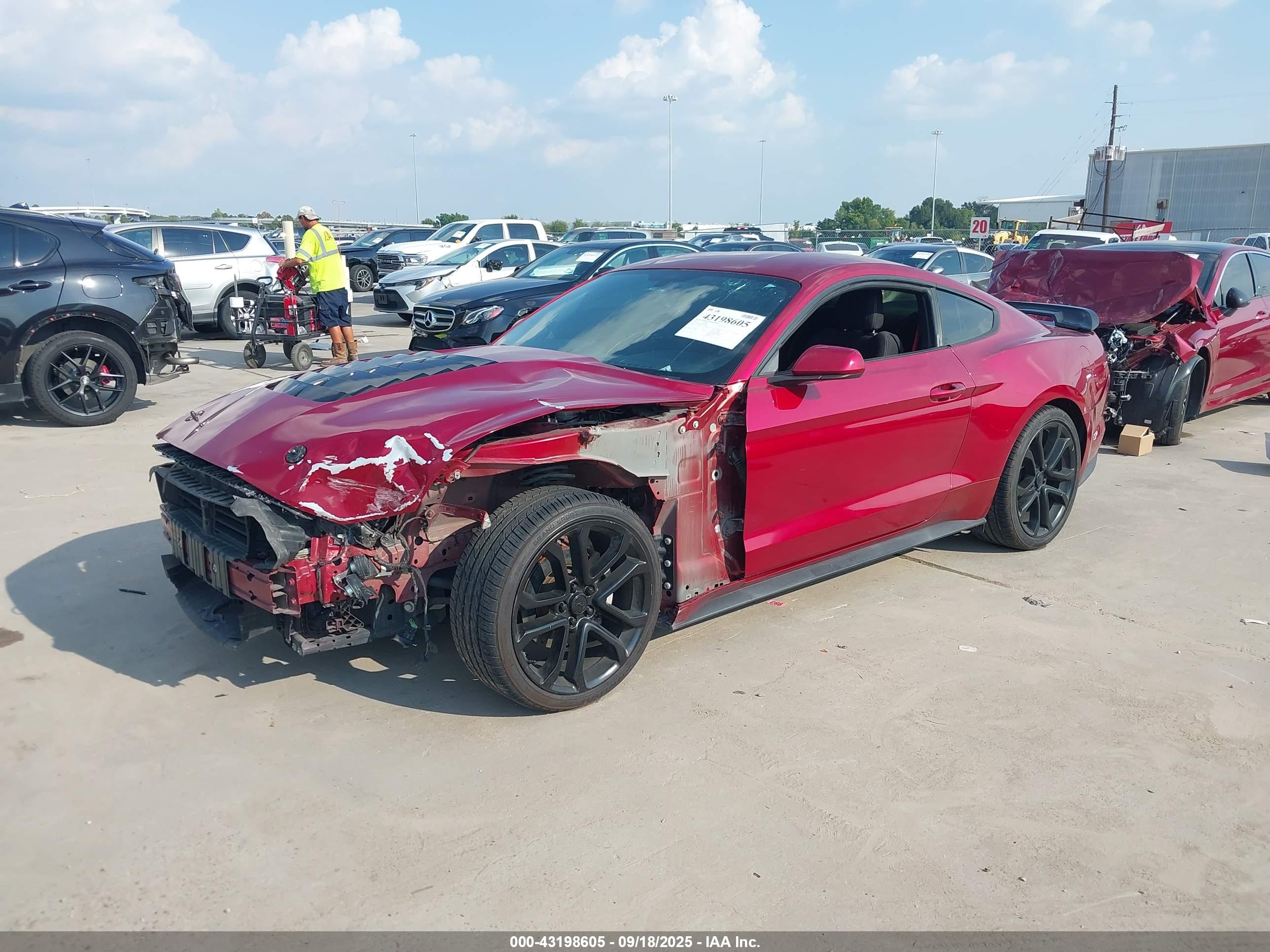 FORD MUSTANG image 2