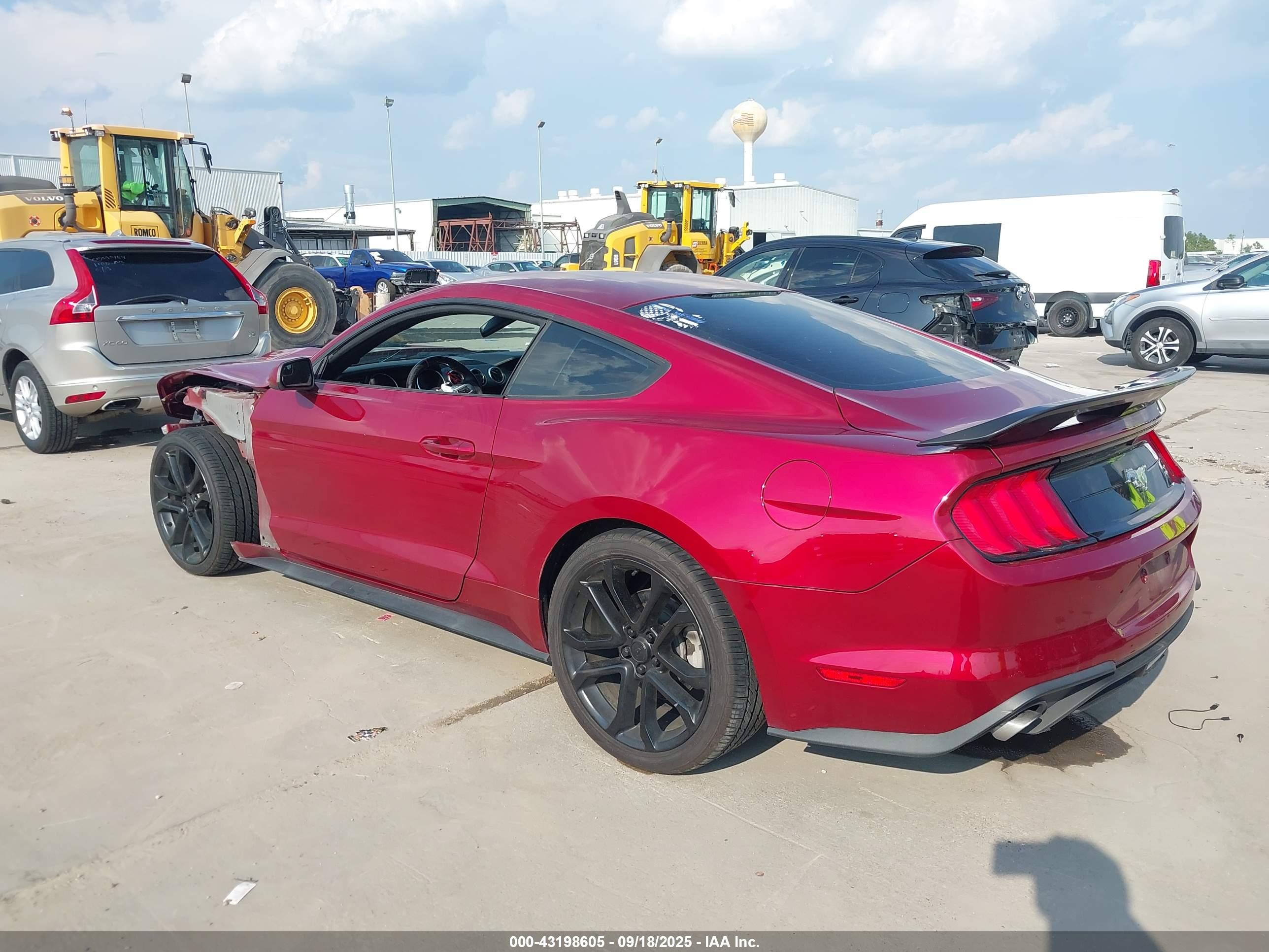 FORD MUSTANG image 3