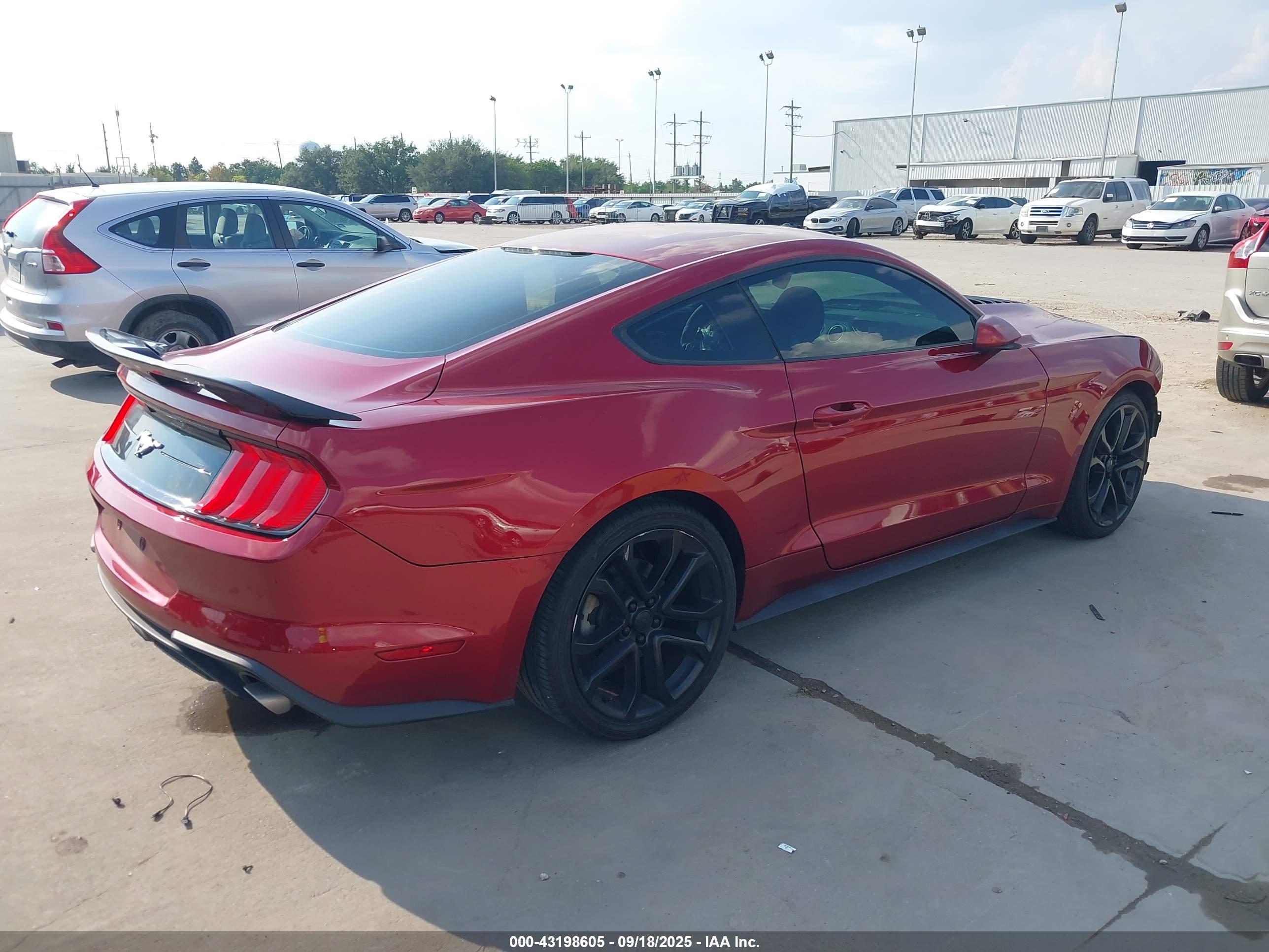 FORD MUSTANG image 4