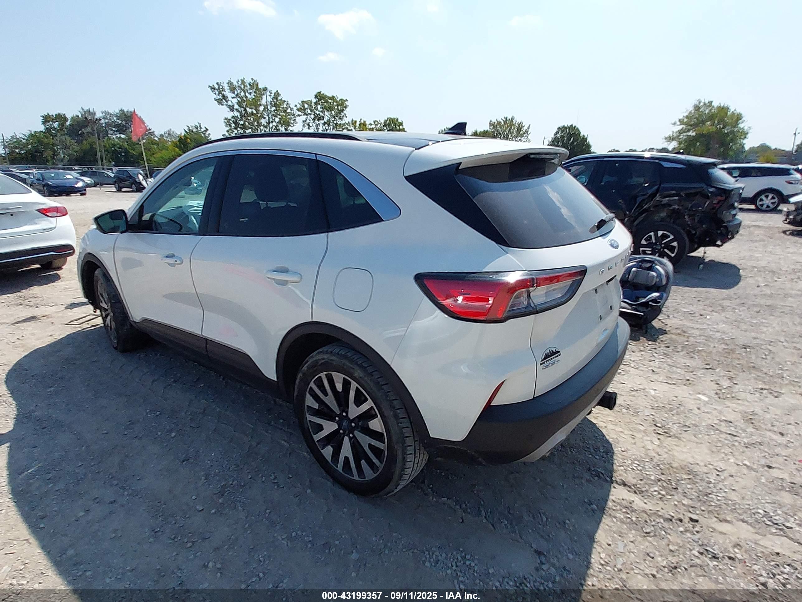 FORD ESCAPE image 3