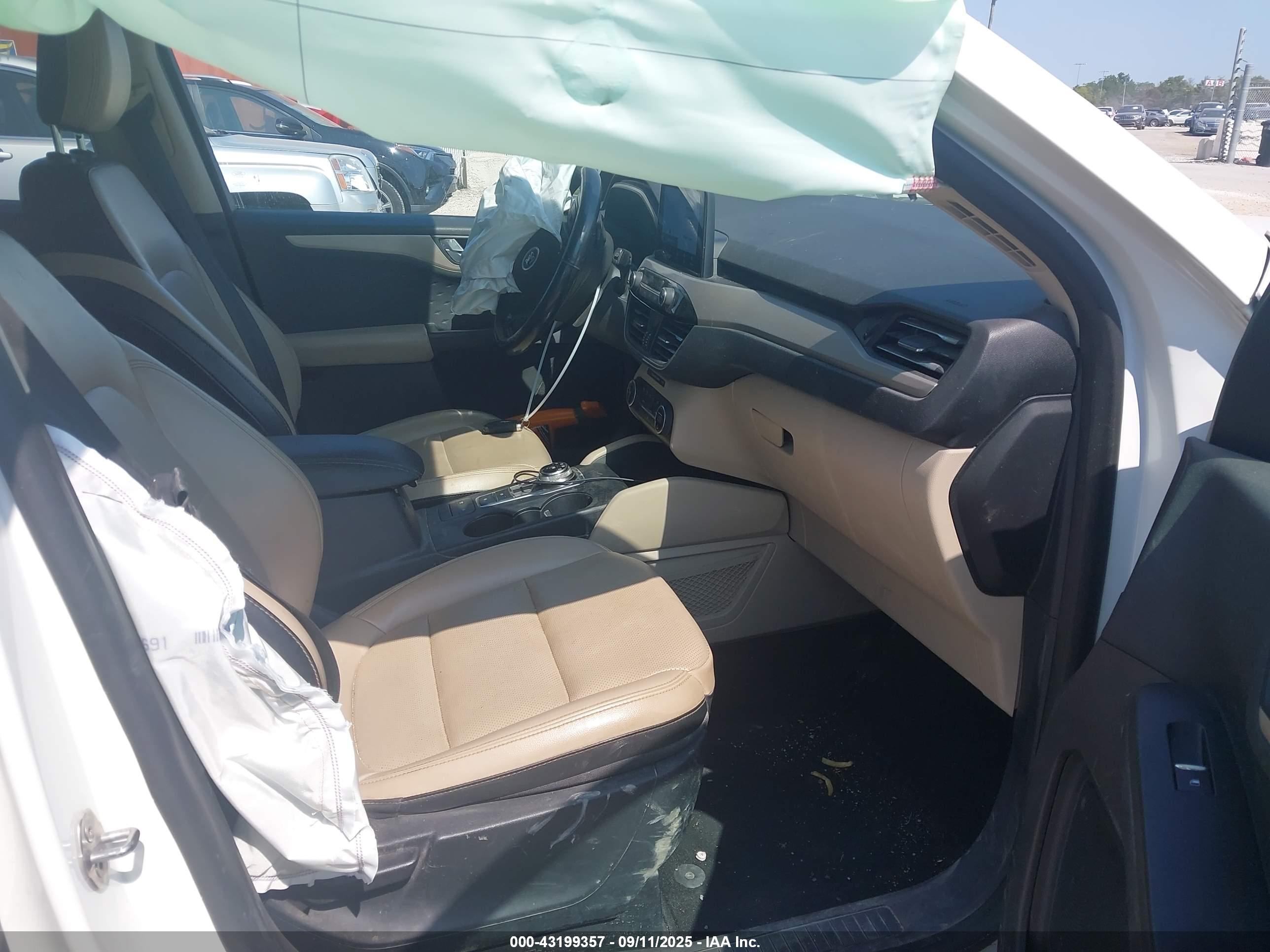 FORD ESCAPE image 5