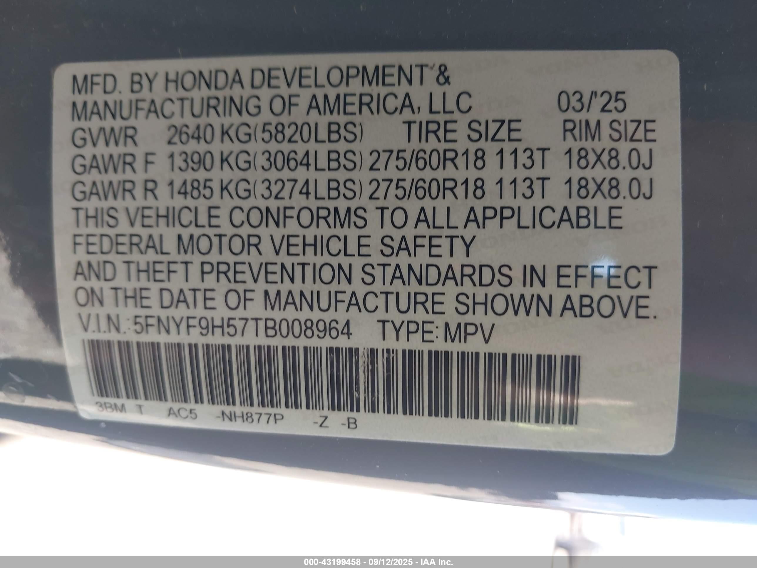 HONDA PASSPORT image 9