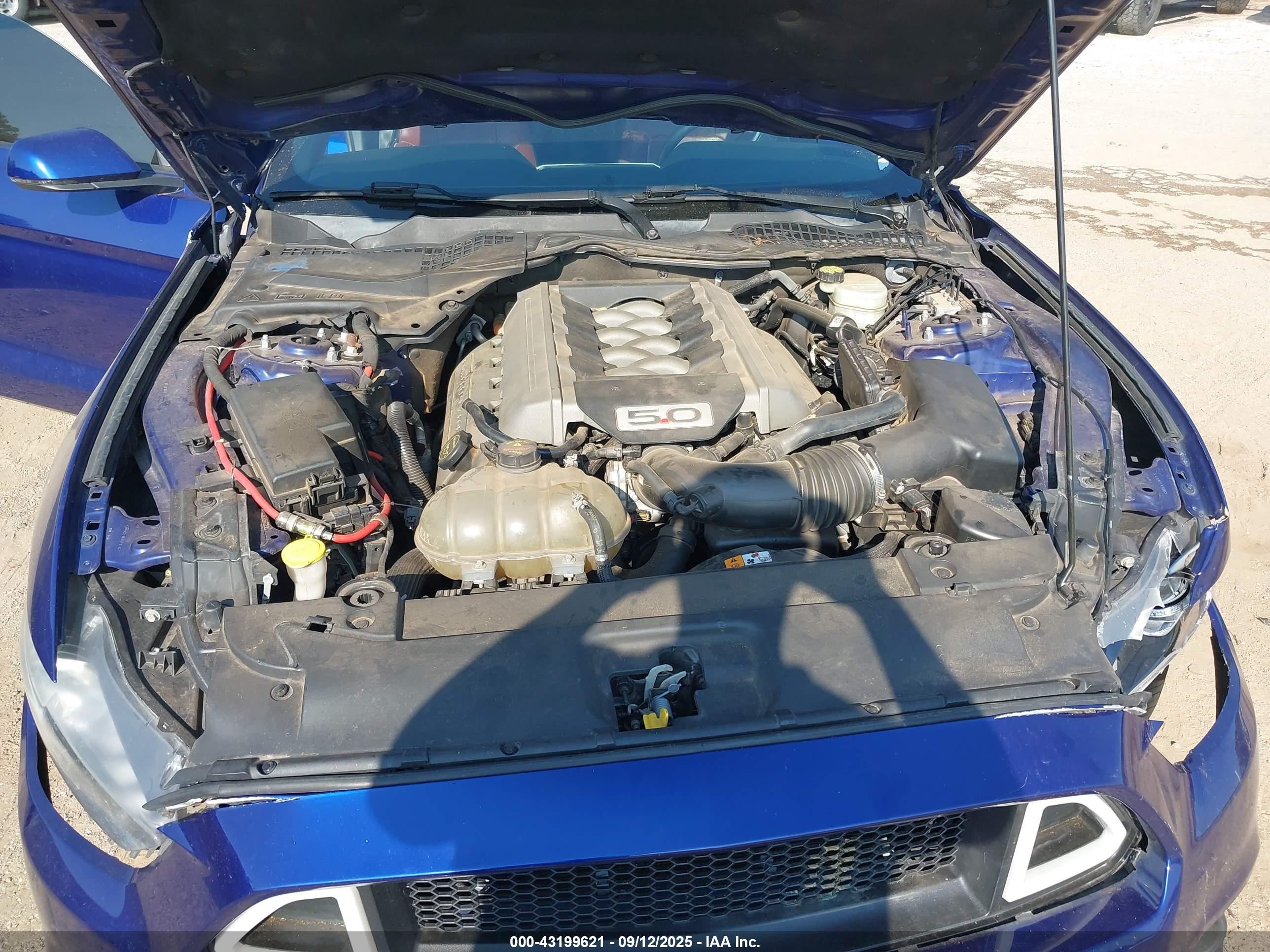 FORD MUSTANG image 10