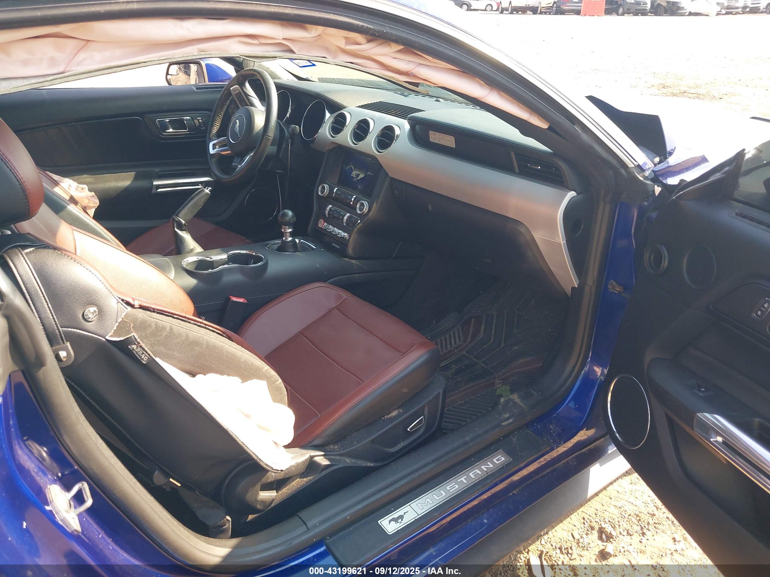 FORD MUSTANG image 5