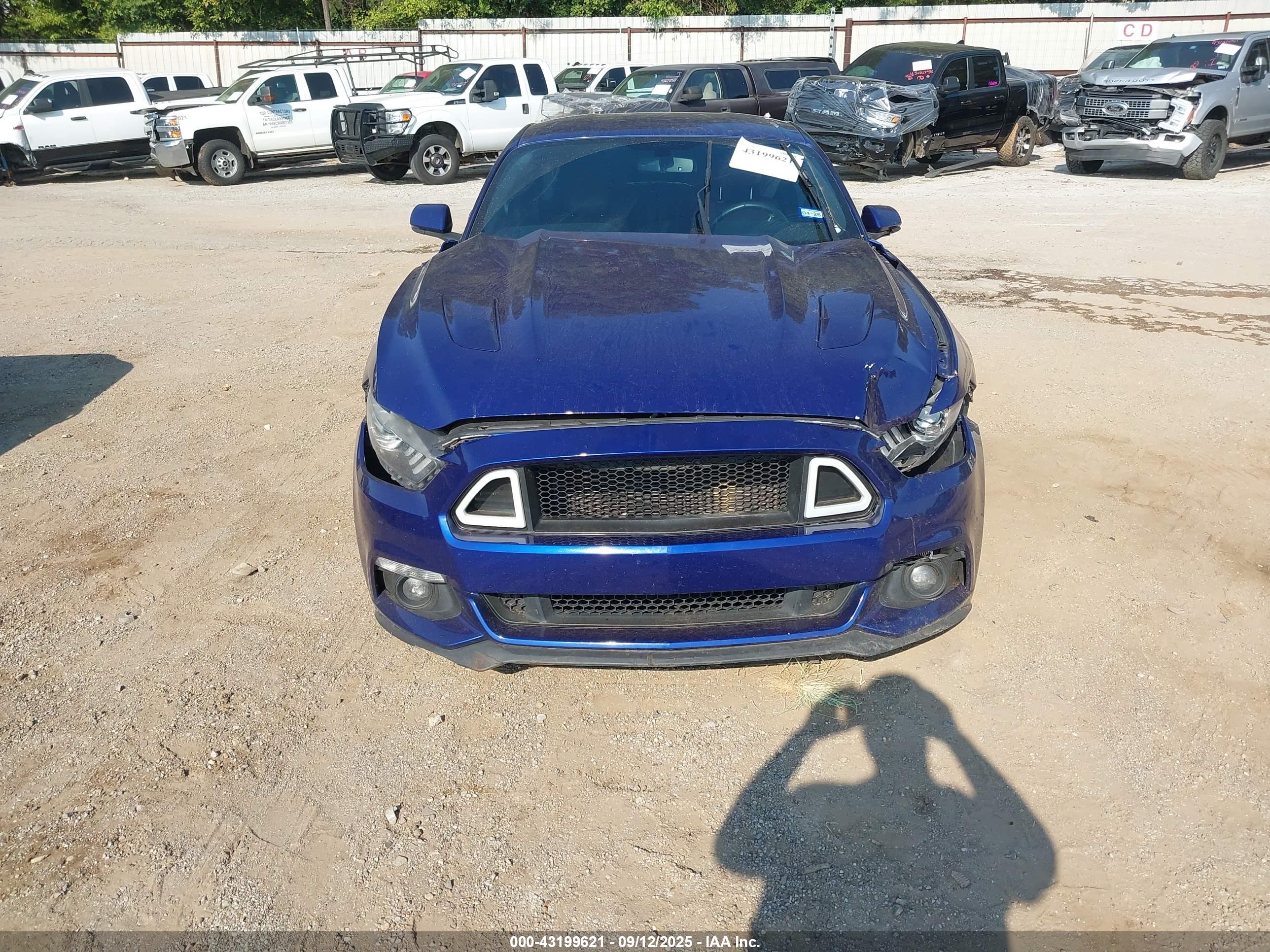 FORD MUSTANG image 6
