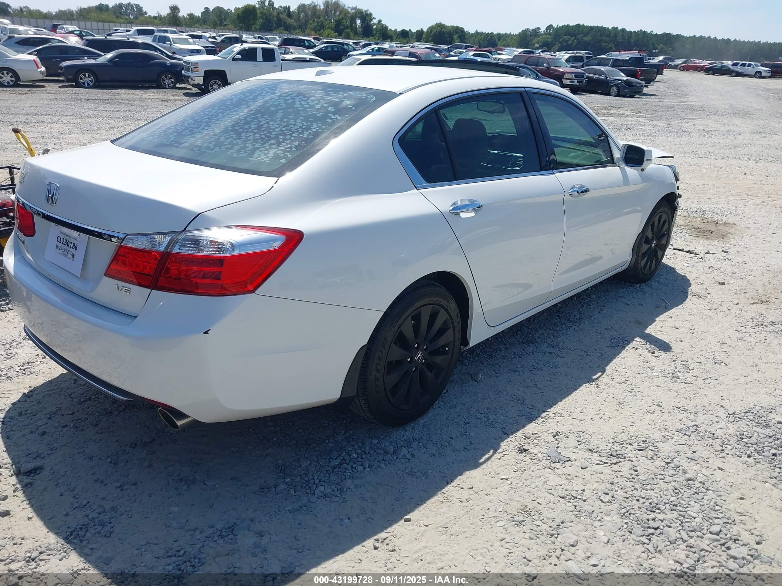HONDA ACCORD image 4
