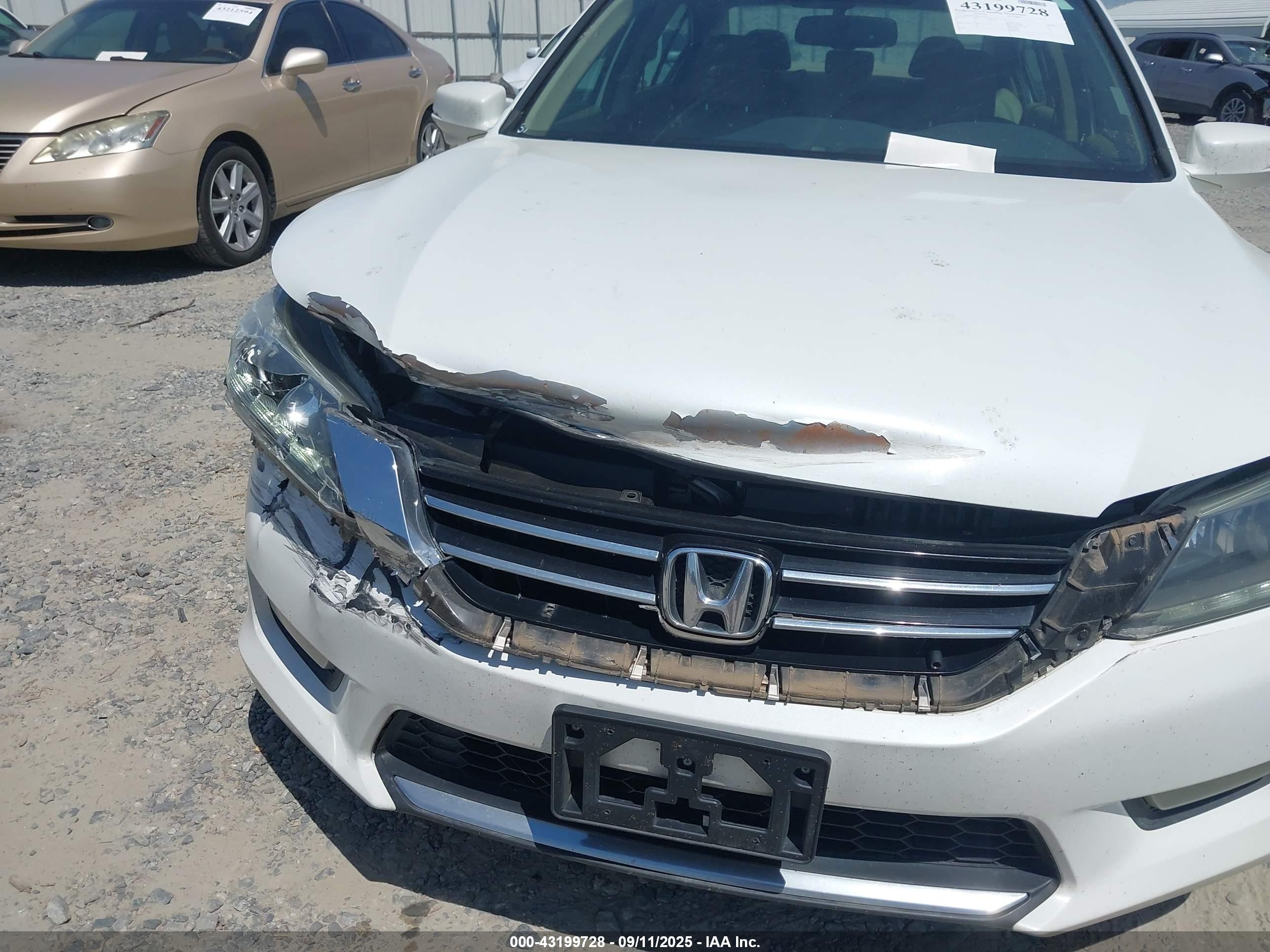 HONDA ACCORD image 6