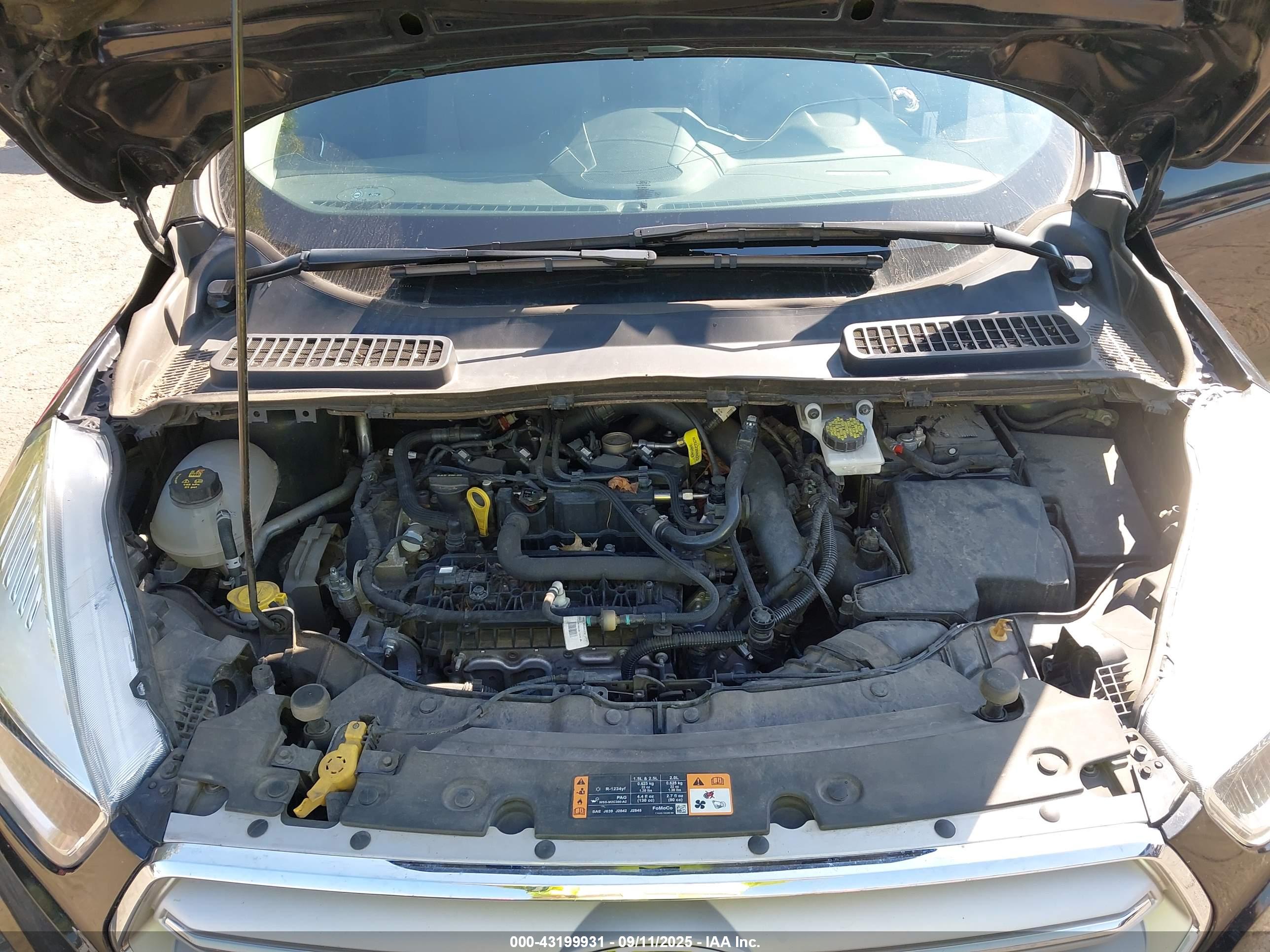 FORD ESCAPE image 10