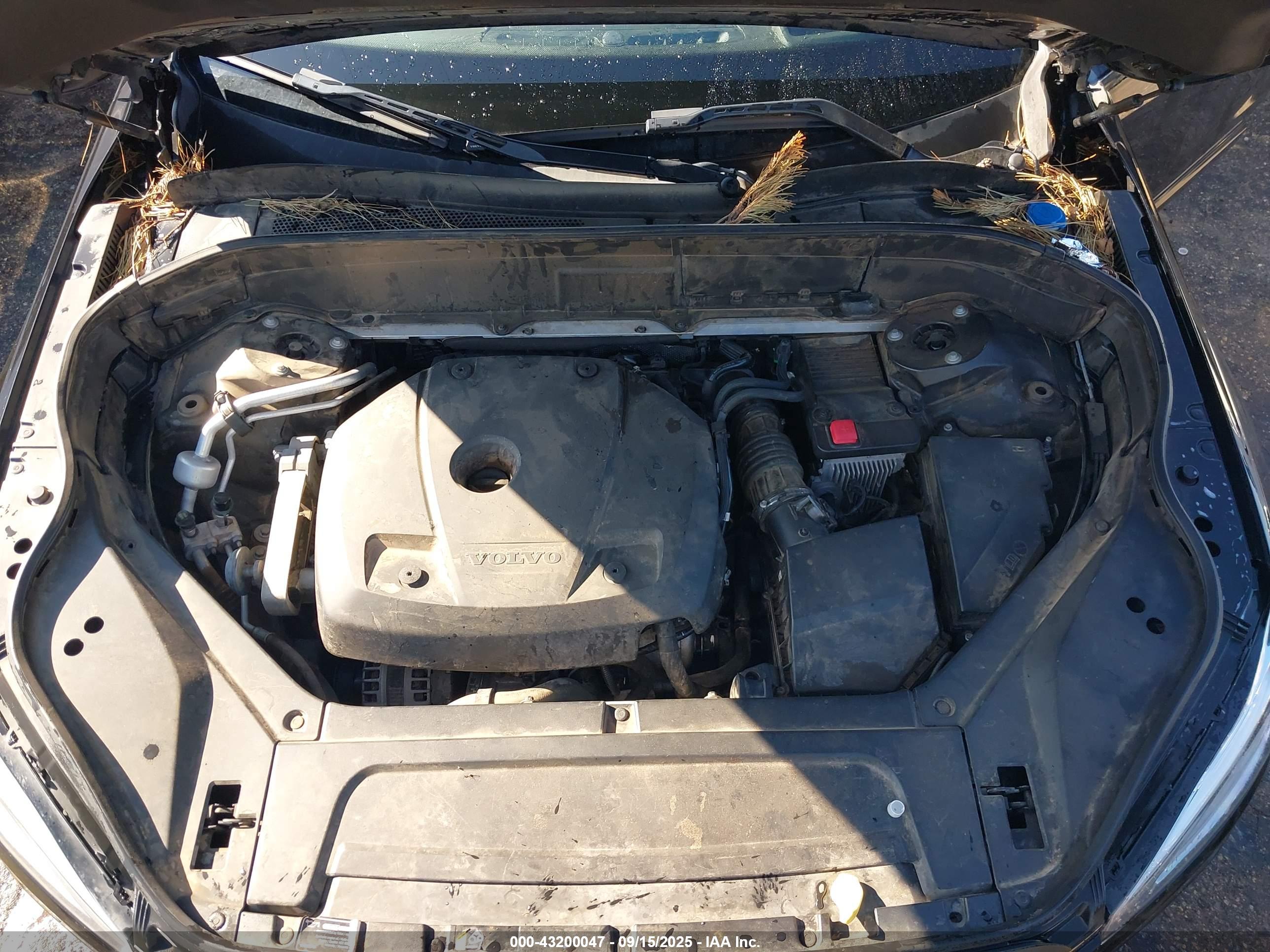 VOLVO XC90 image 10