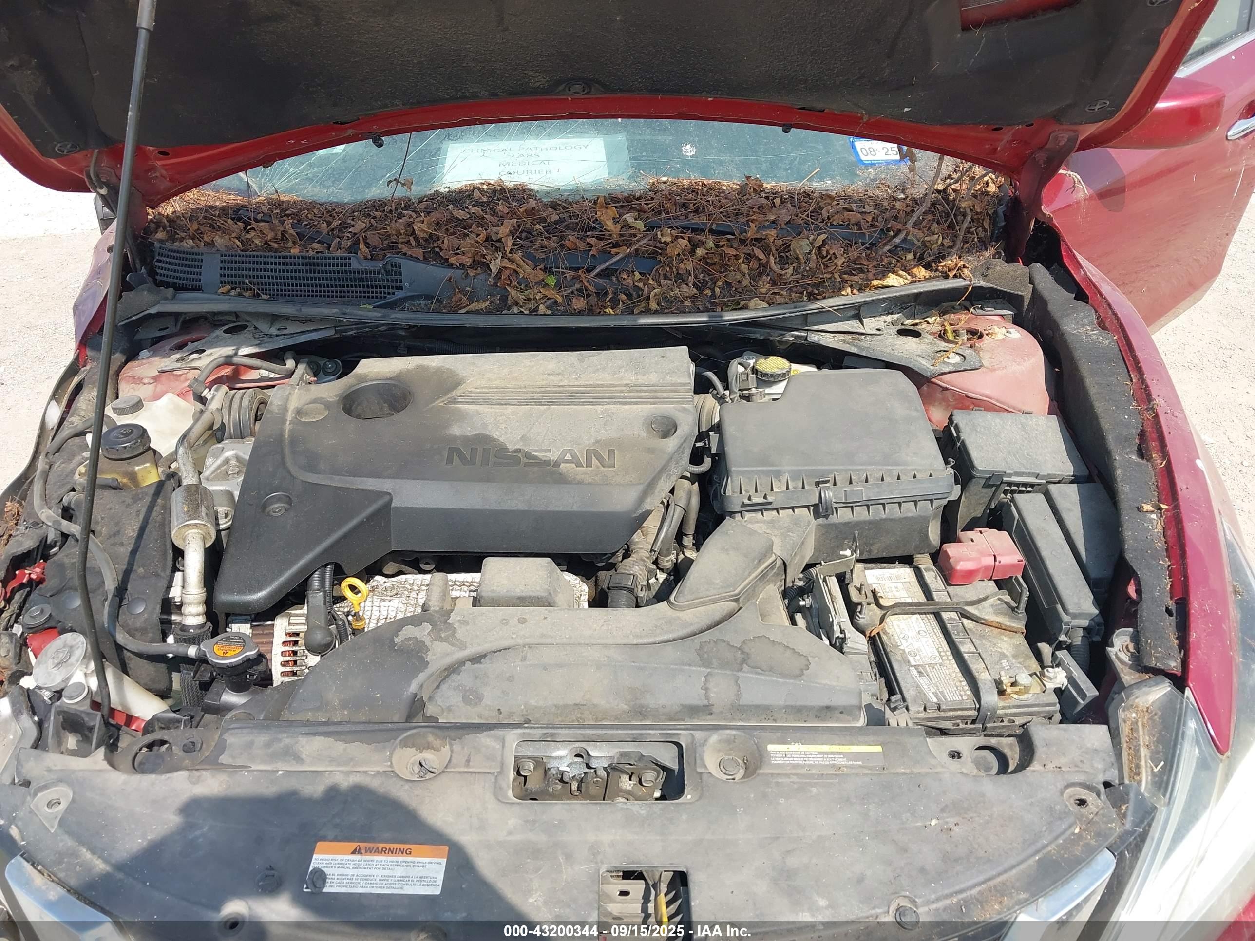 NISSAN ALTIMA image 10