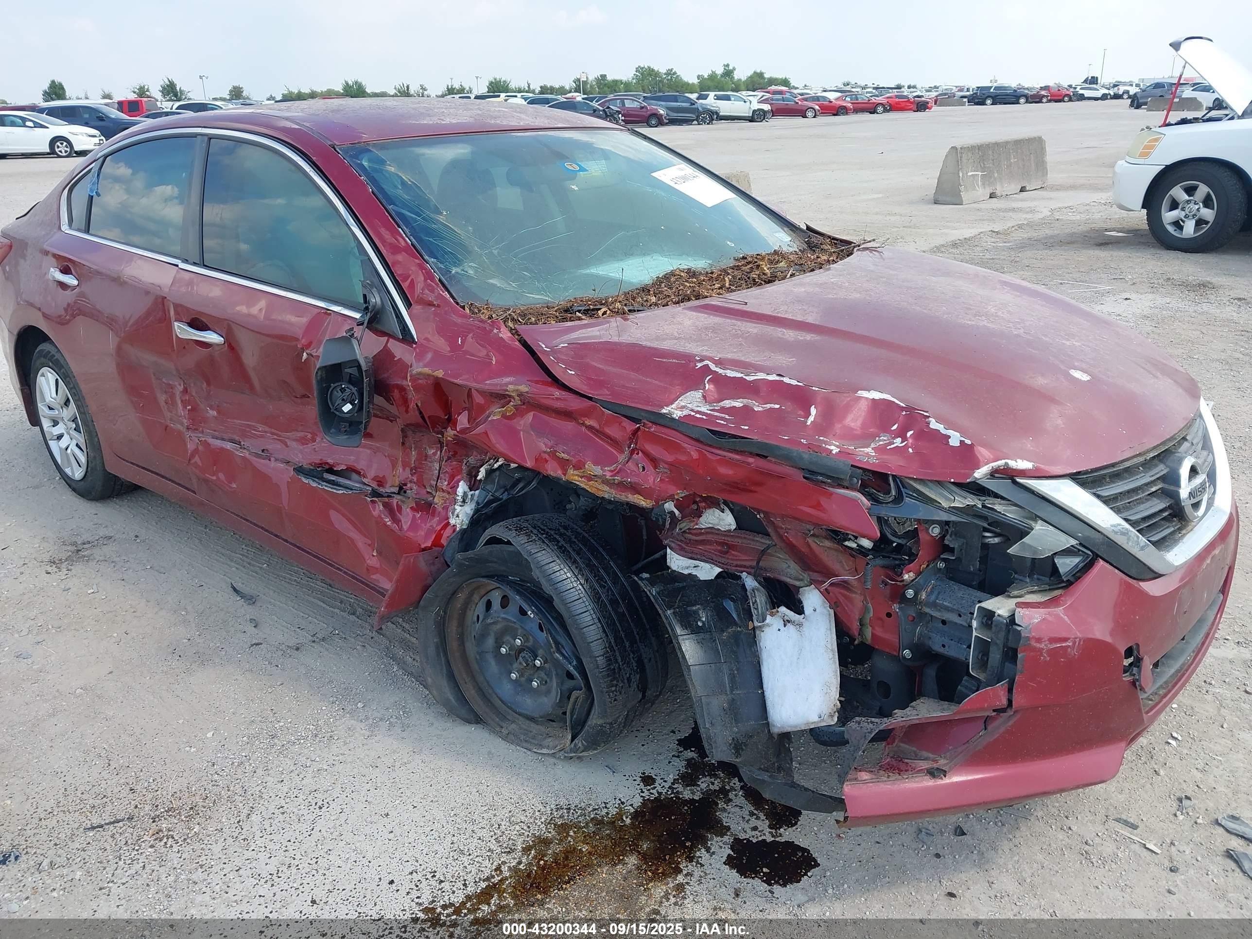 NISSAN ALTIMA image 6