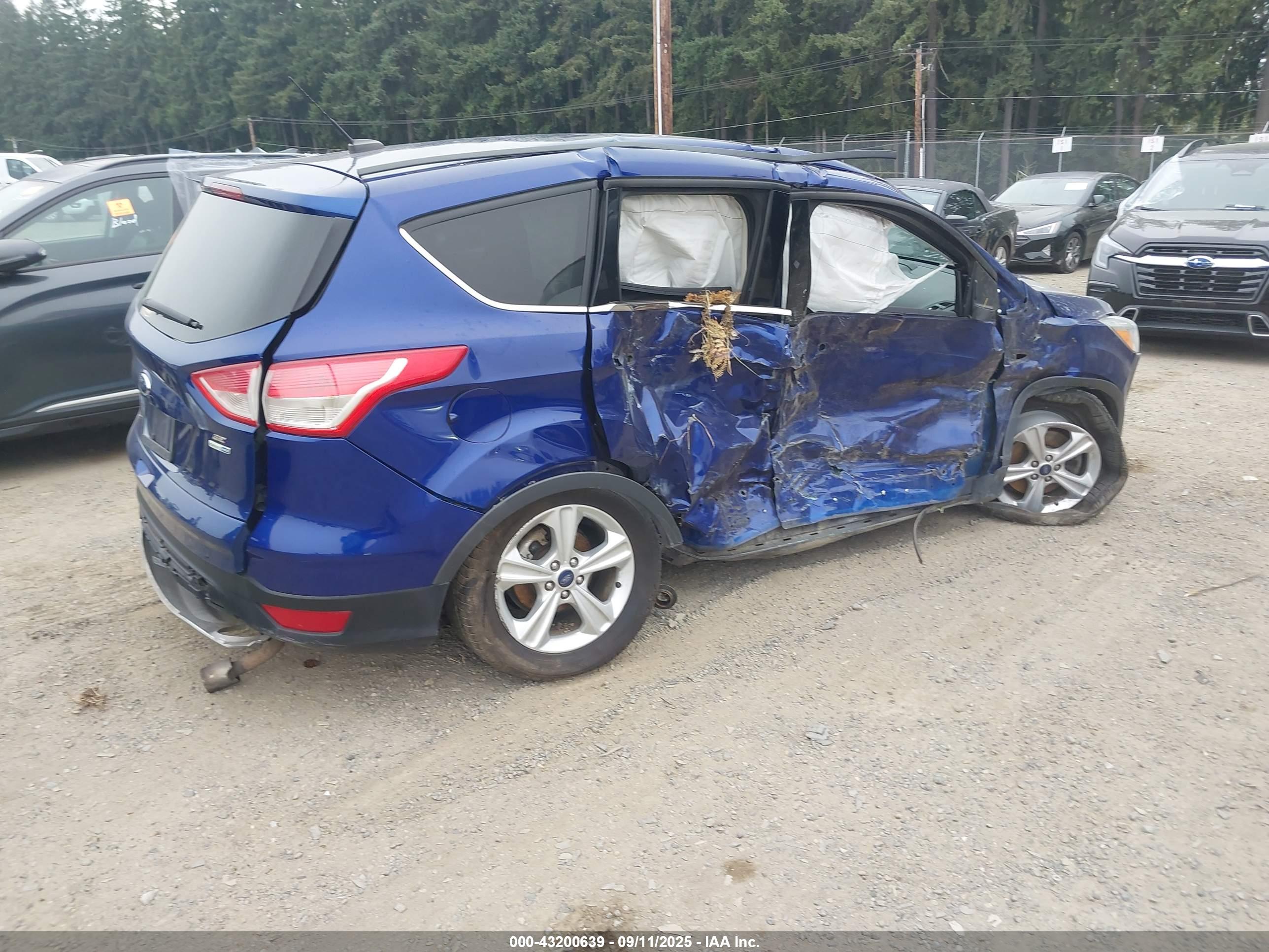 FORD ESCAPE image 4
