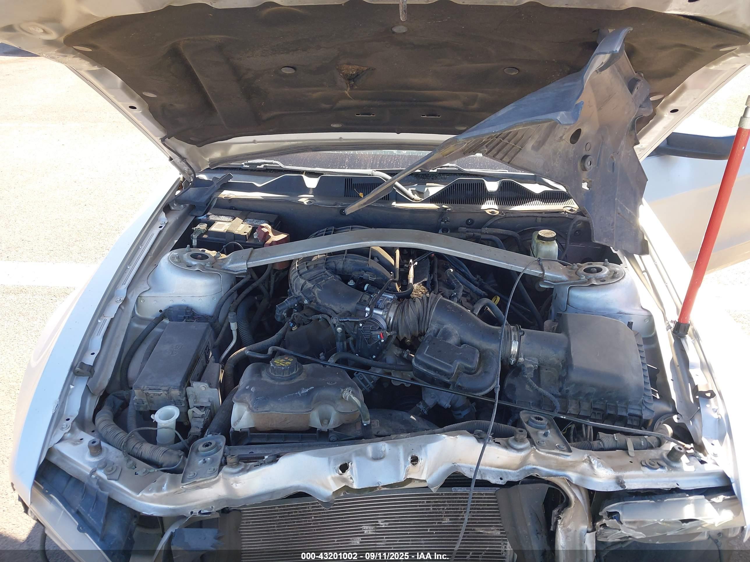 FORD MUSTANG image 10