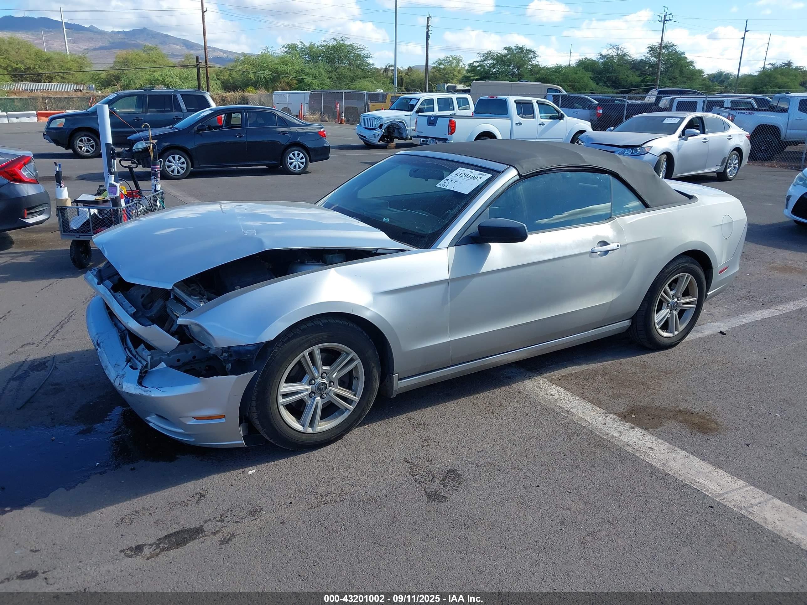 FORD MUSTANG image 2