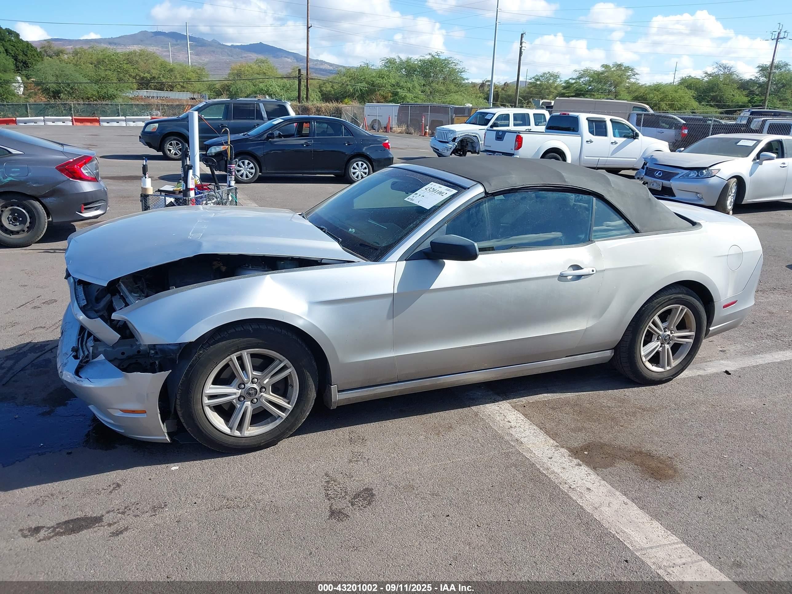 FORD MUSTANG image 6