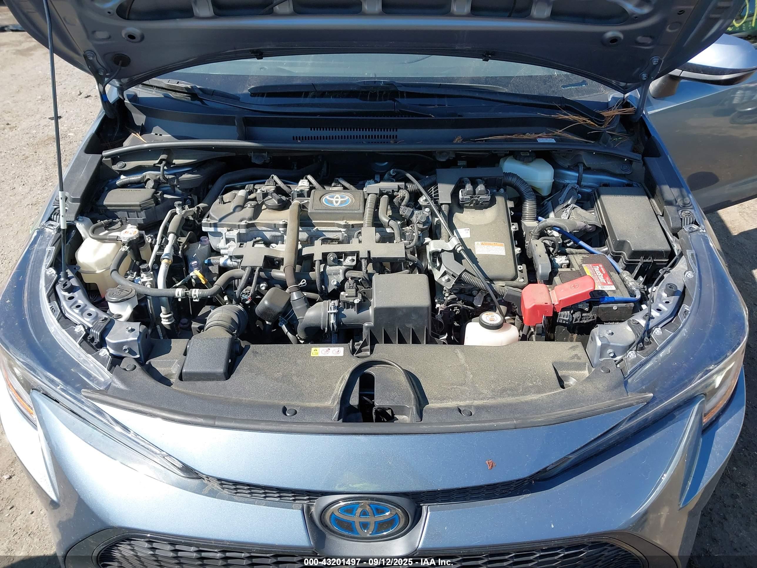TOYOTA COROLLA image 10