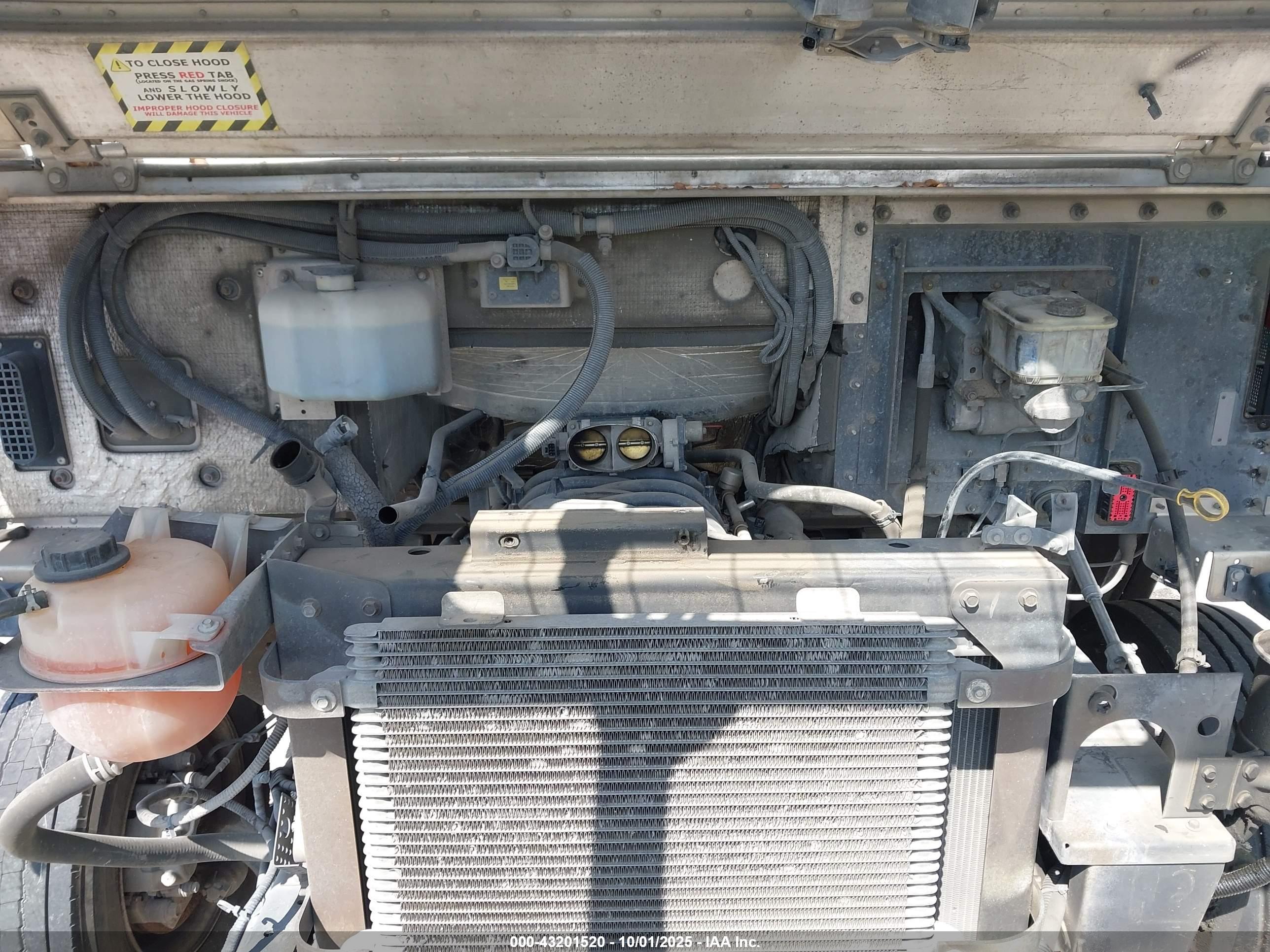 FORD F-59 image 10