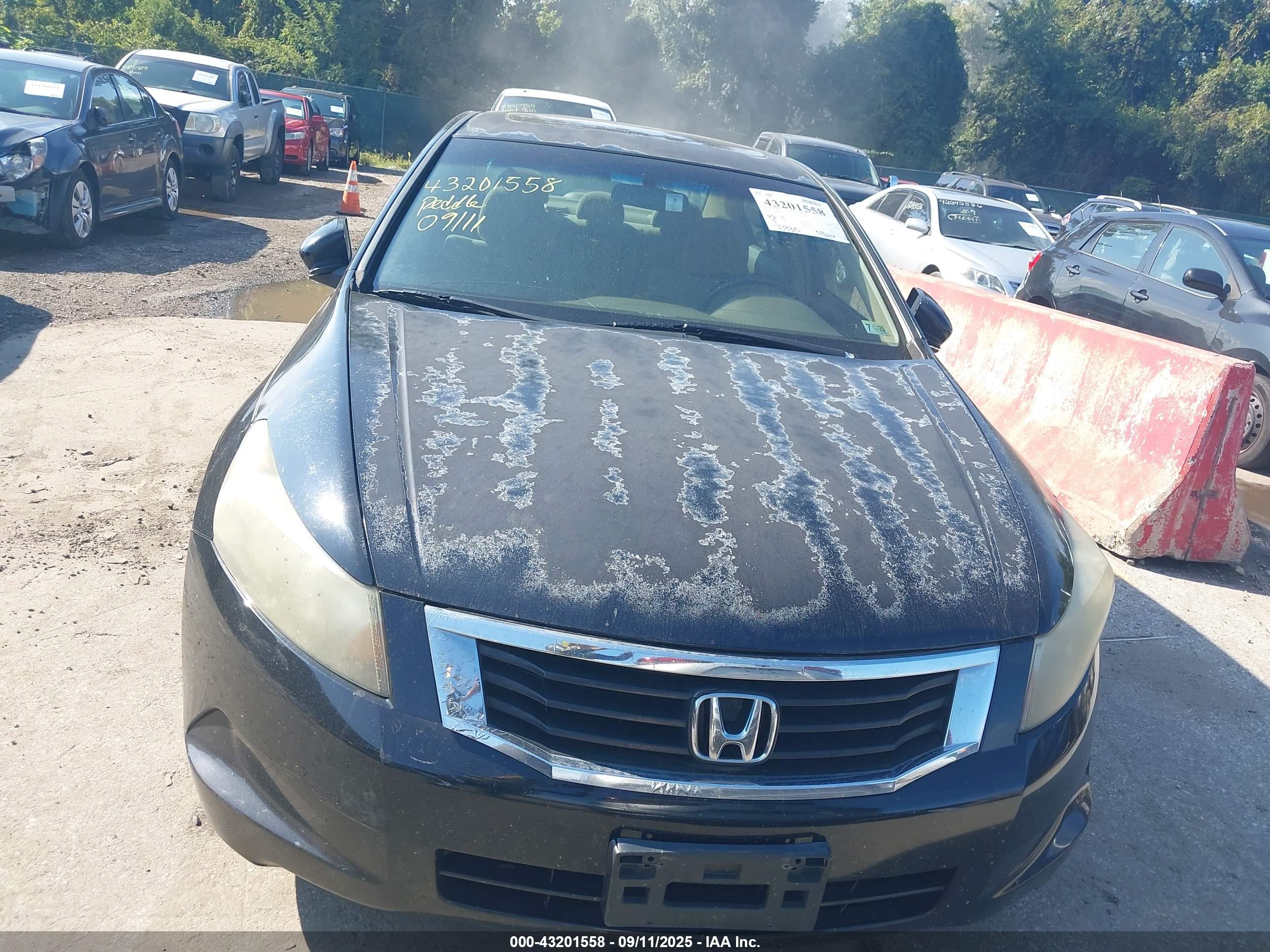 HONDA ACCORD image 6