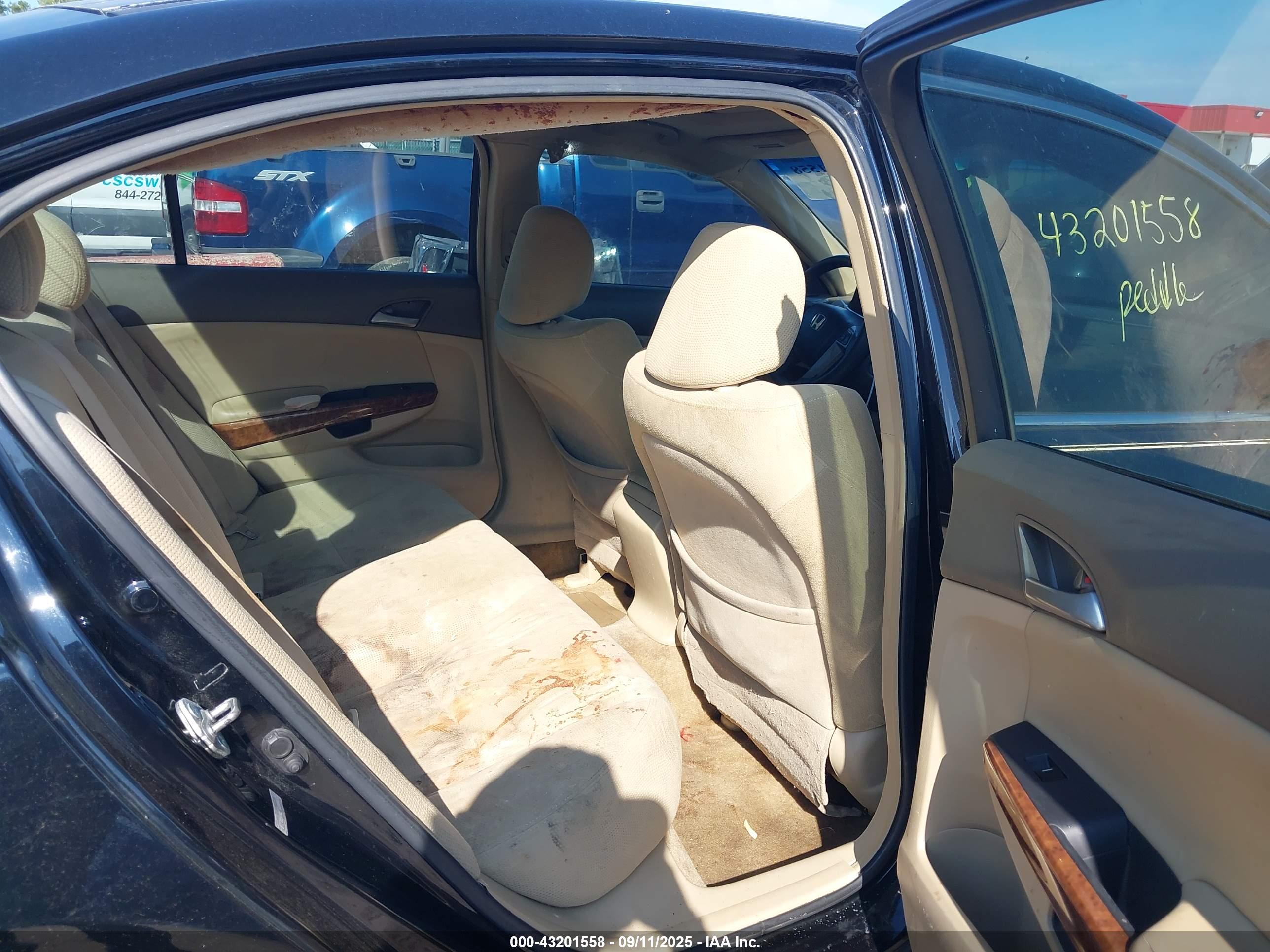 HONDA ACCORD image 8