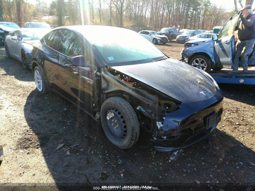 TESLA MODEL image 6