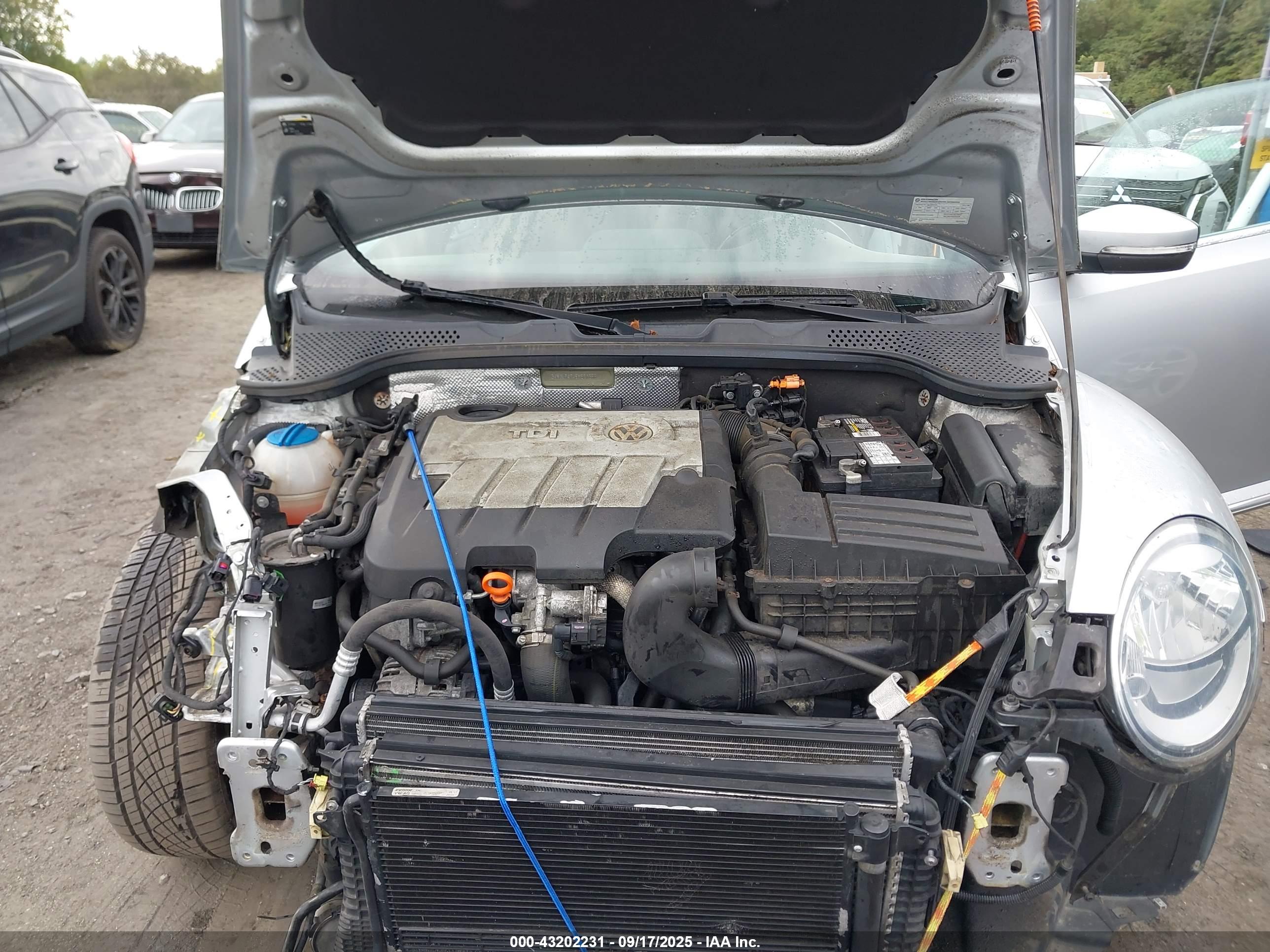 VOLKSWAGEN BEETLE image 10