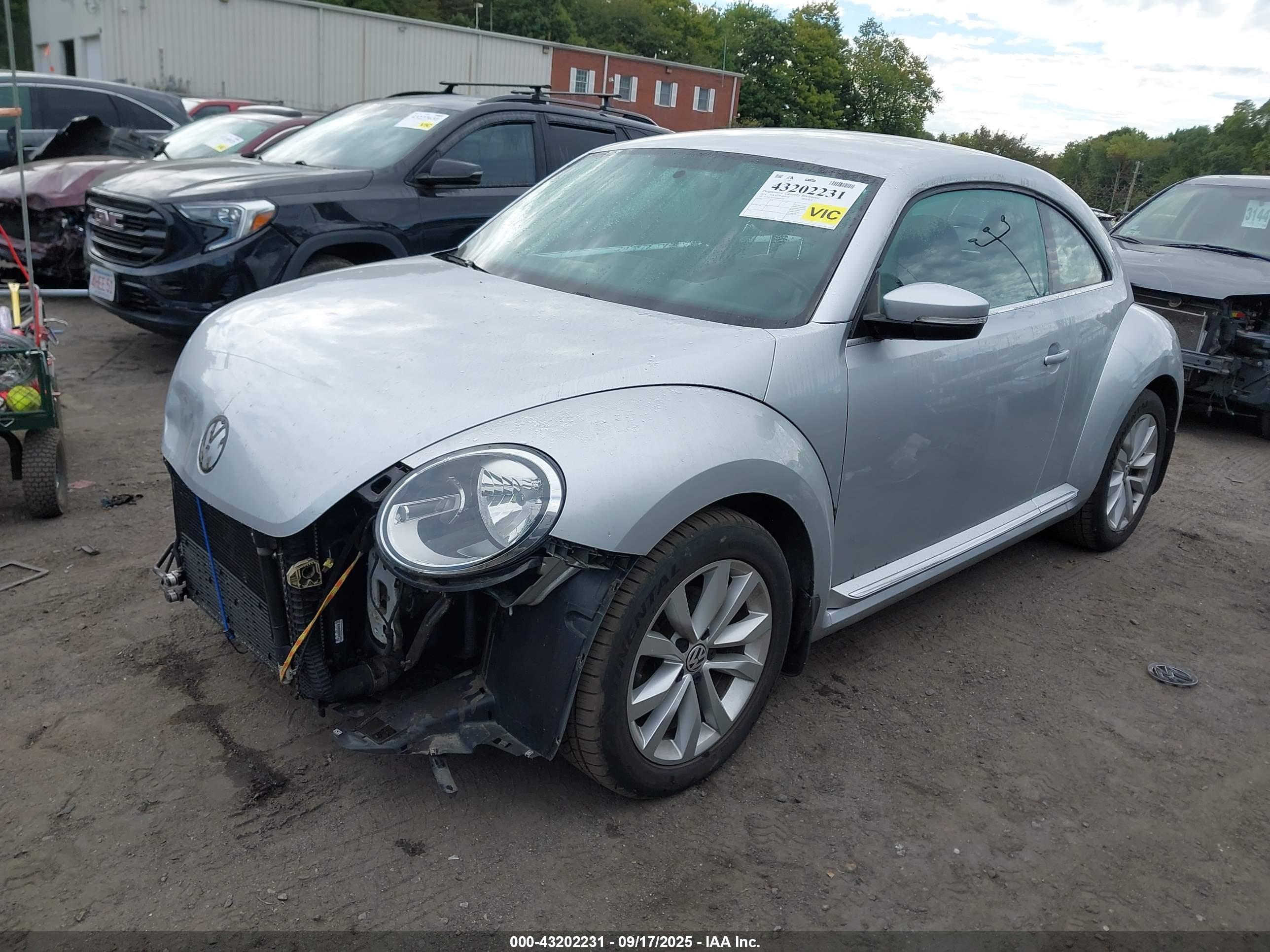 VOLKSWAGEN BEETLE image 2