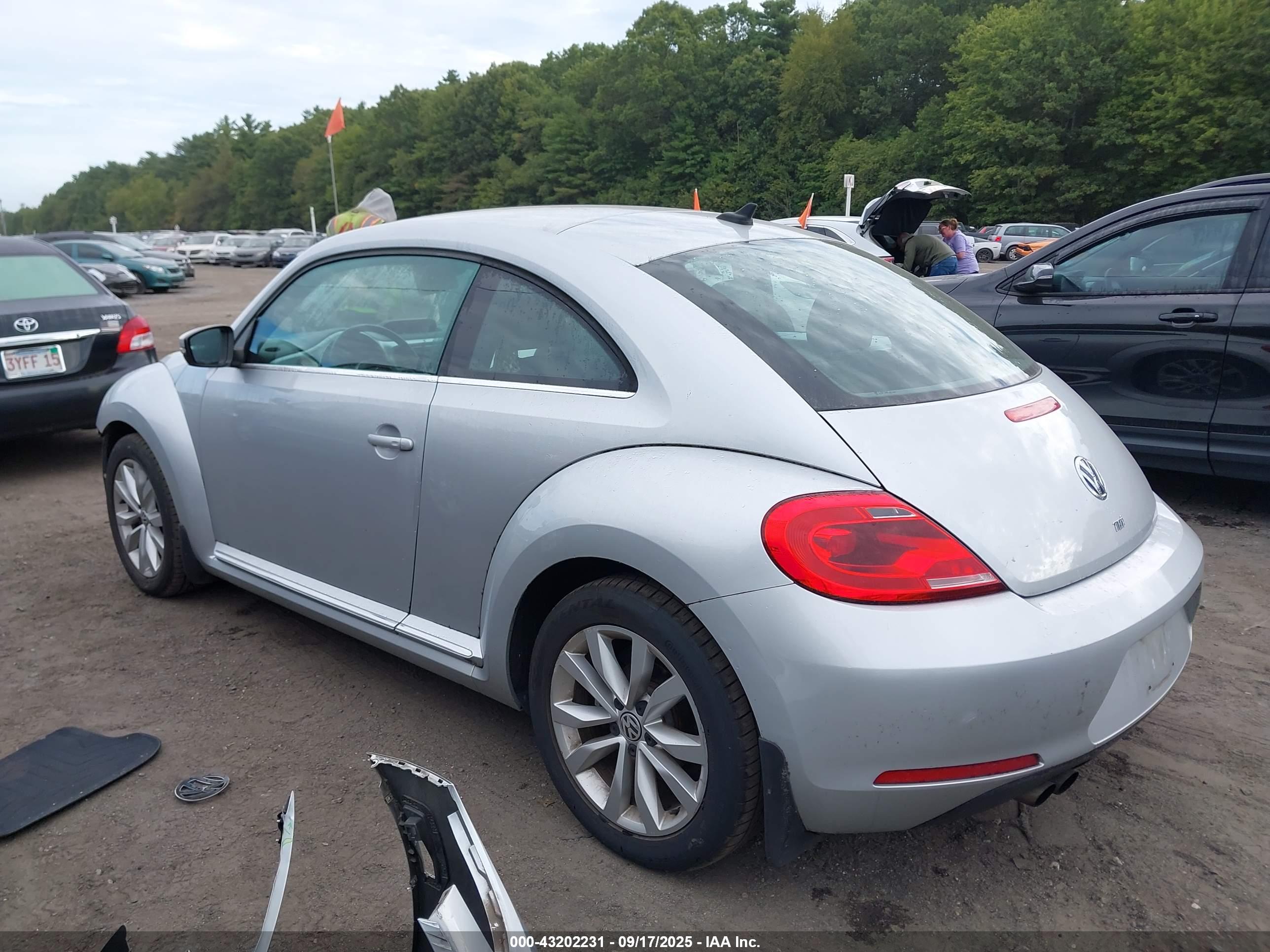 VOLKSWAGEN BEETLE image 3
