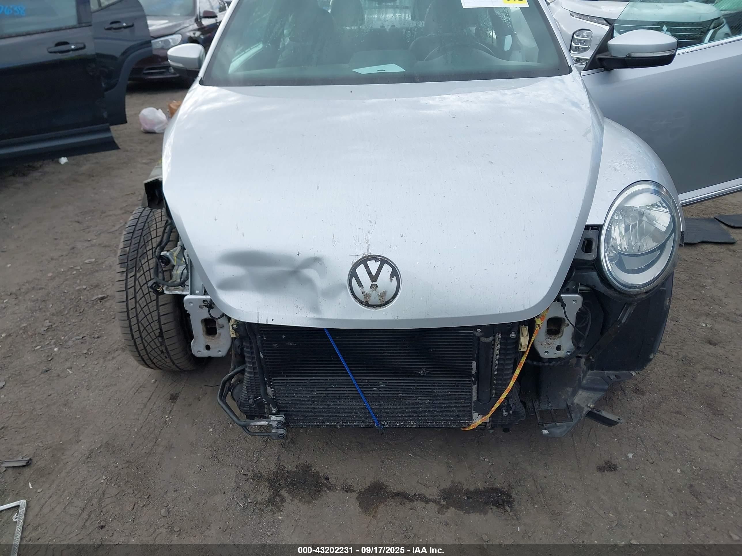 VOLKSWAGEN BEETLE image 6