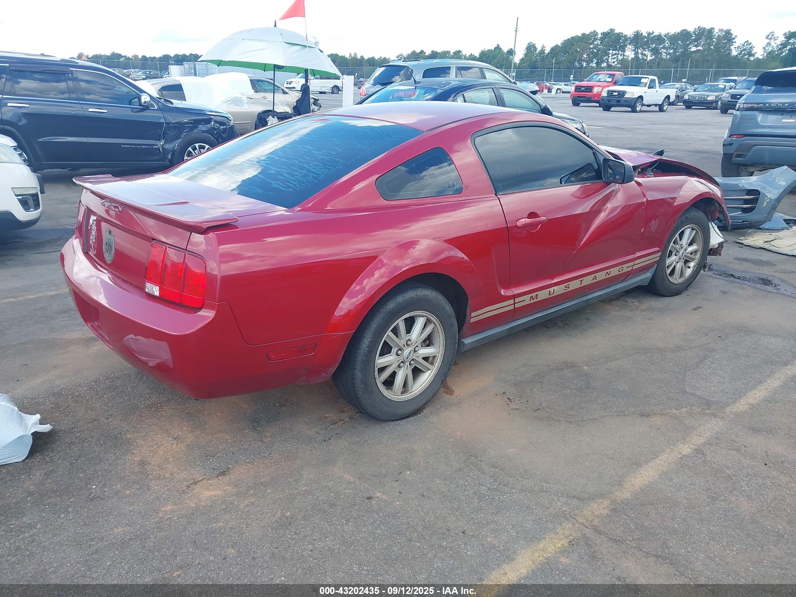 FORD MUSTANG image 4