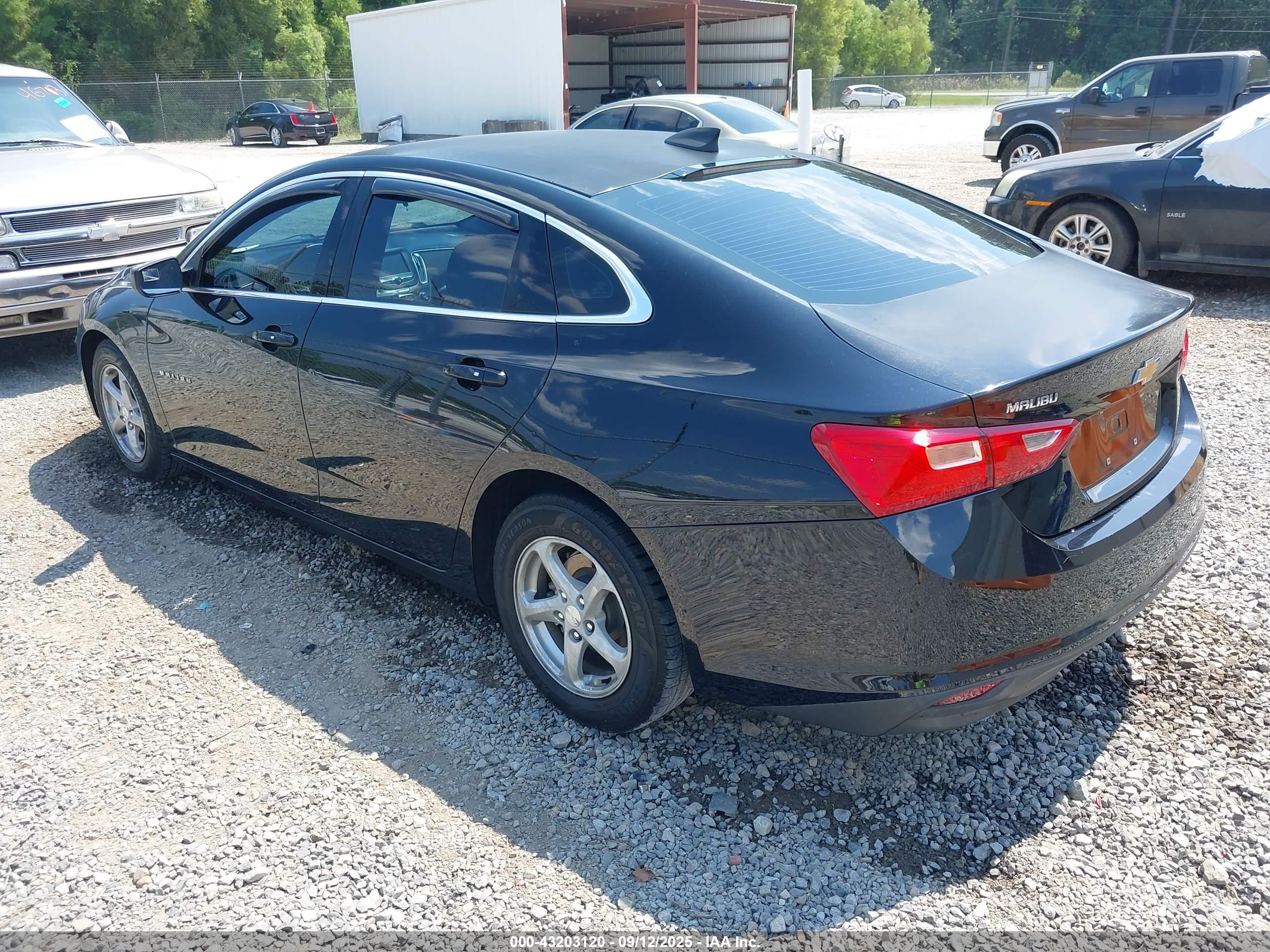 CHEVROLET MALIBU image 3