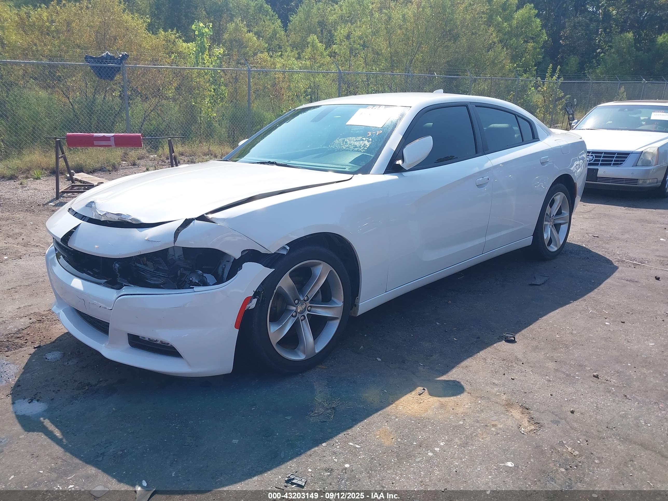 DODGE CHARGER image 2