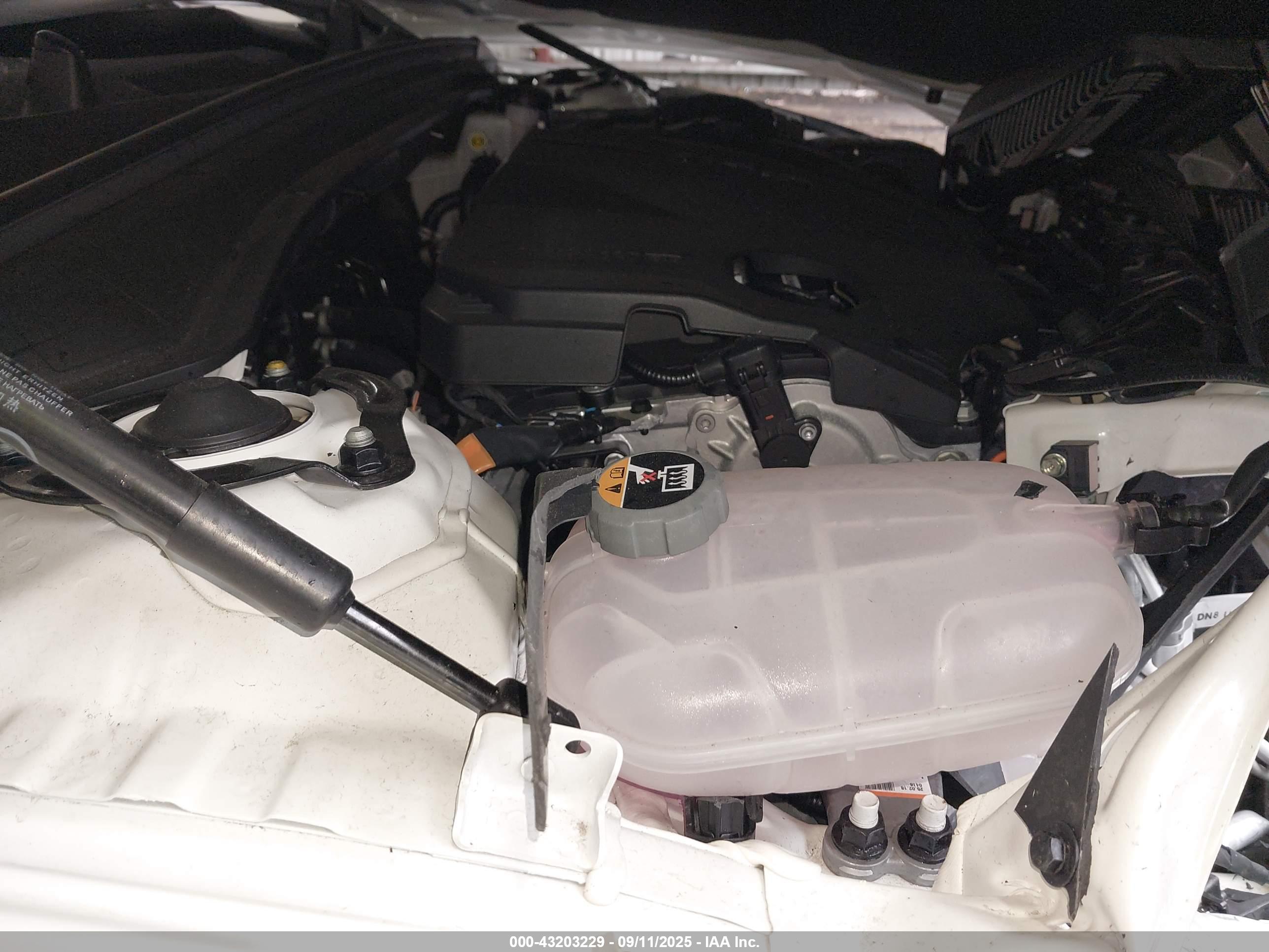 KIA K5 image 10