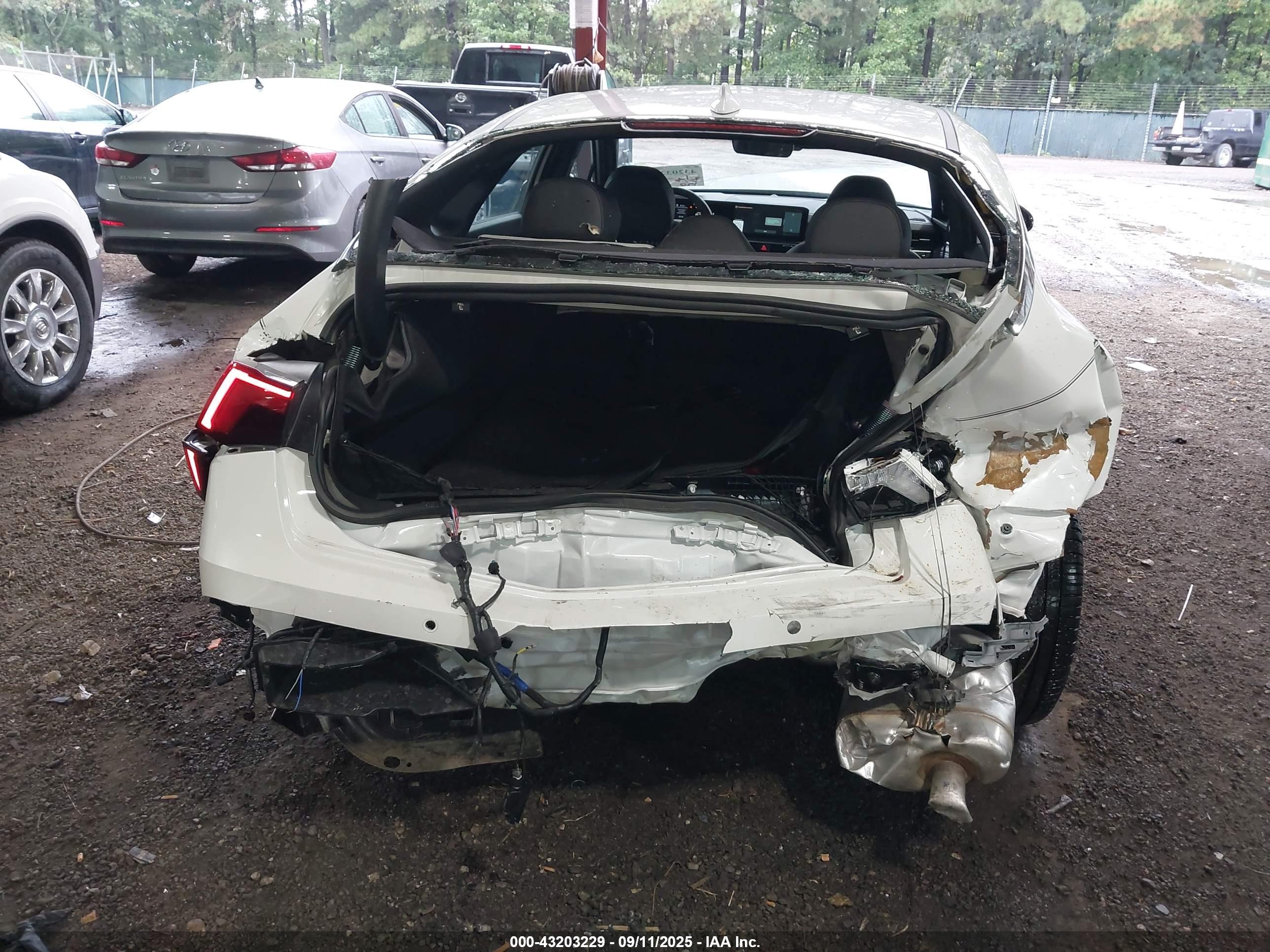 KIA K5 image 6