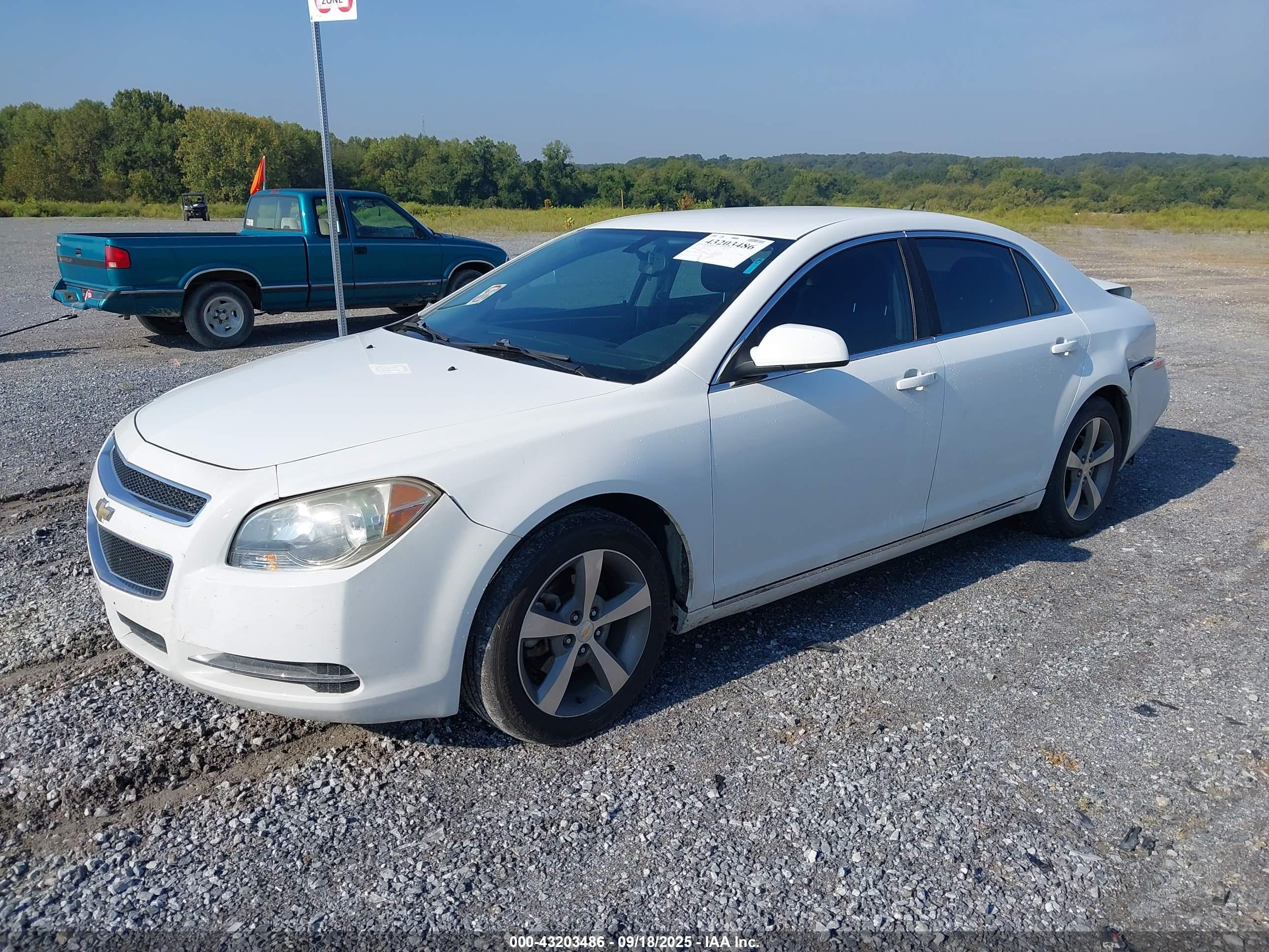 CHEVROLET MALIBU image 2
