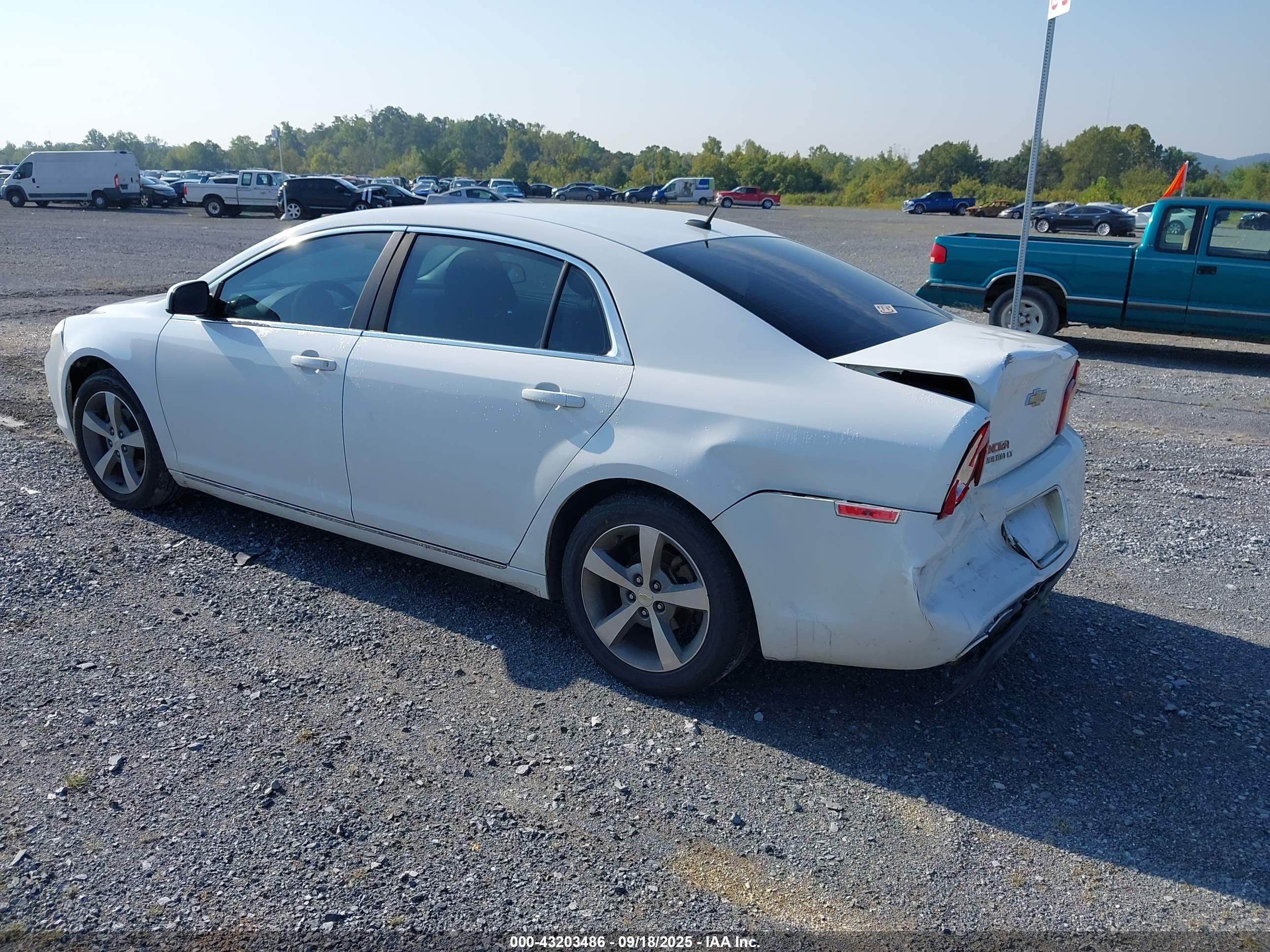 CHEVROLET MALIBU image 3